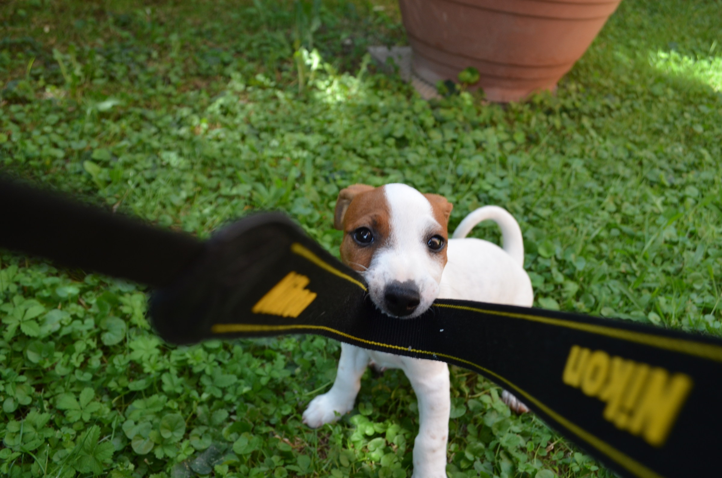 Non mi fotografare!!!!