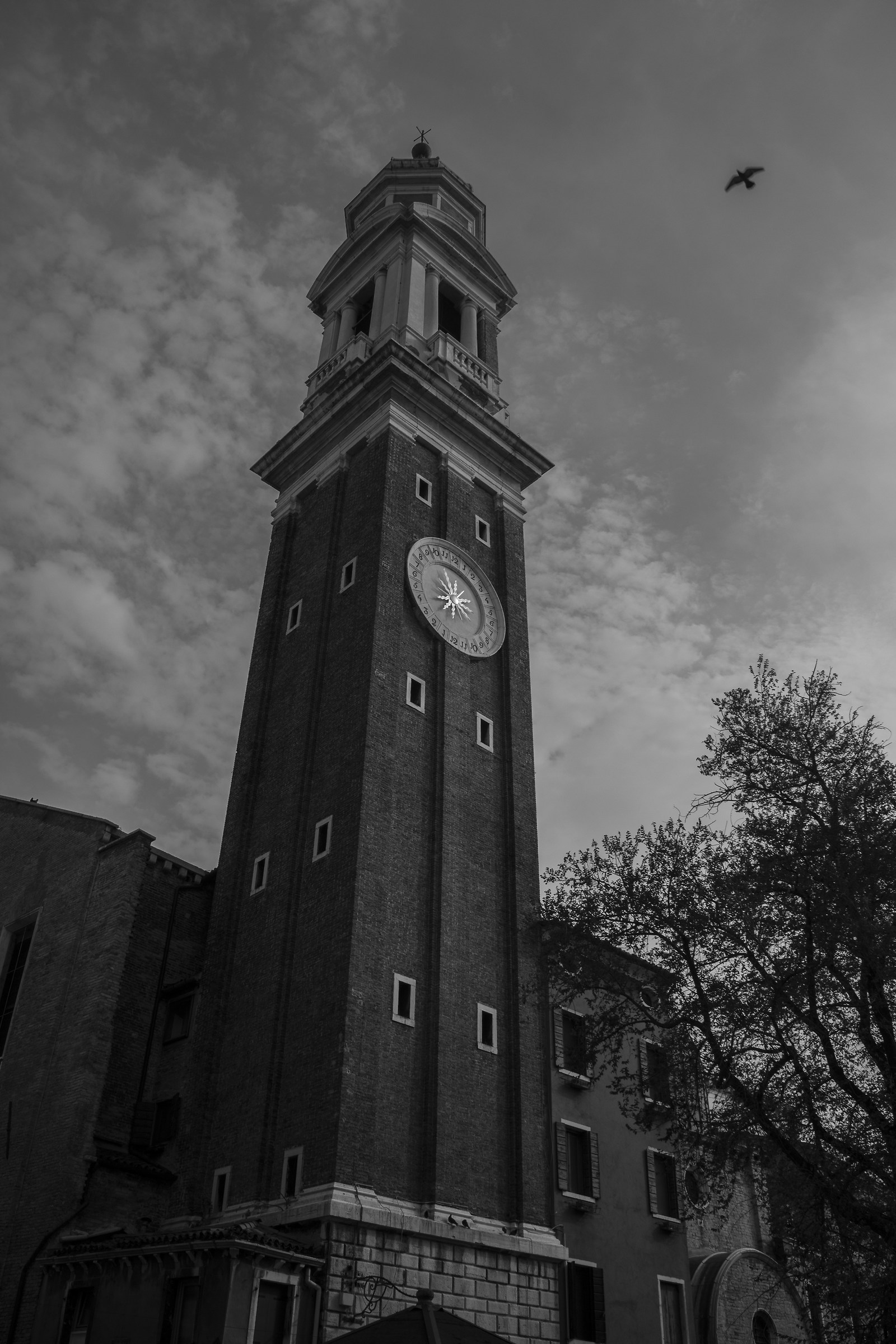 Il campanile e il colombo