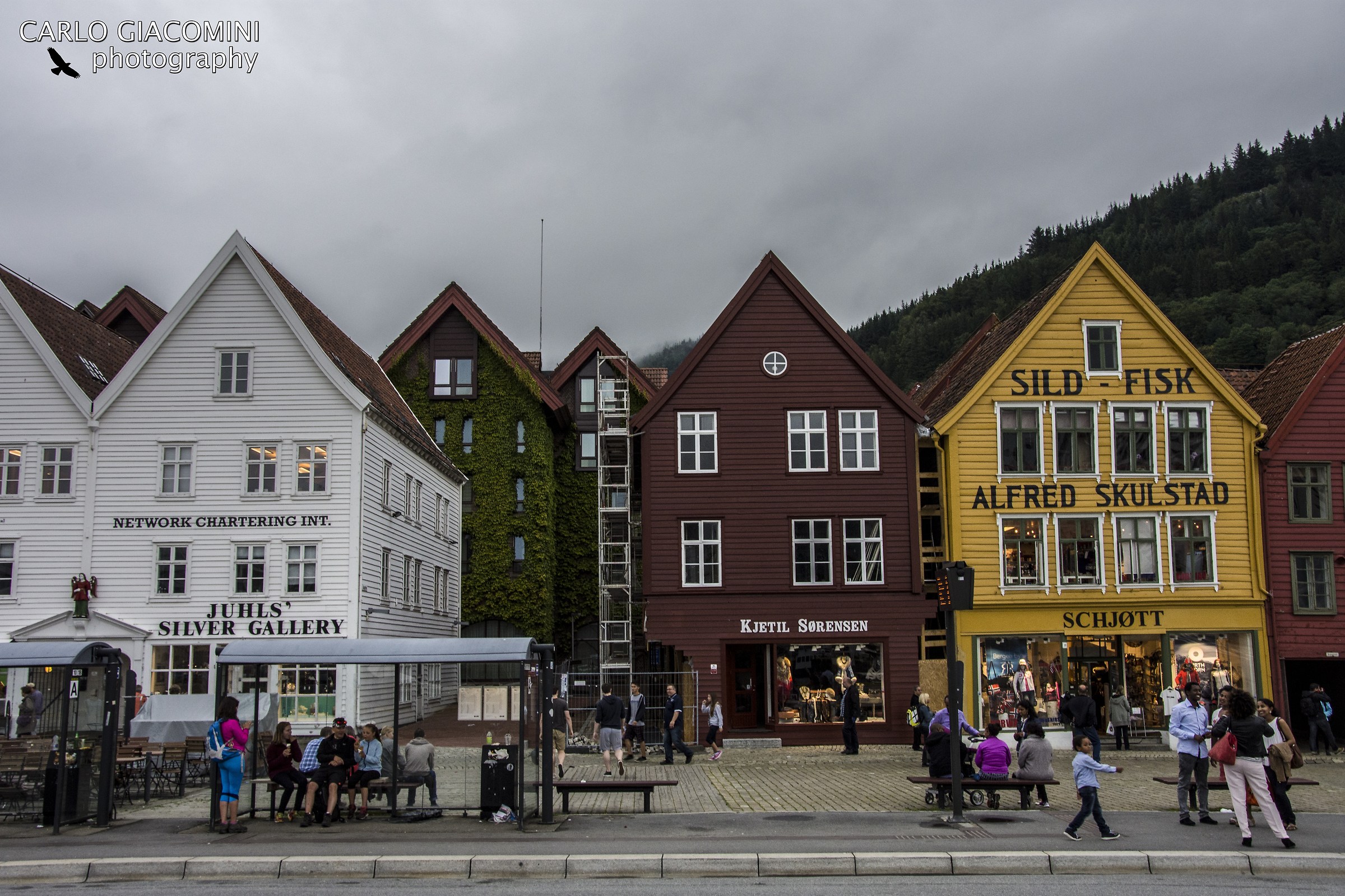 houses of Bryggen