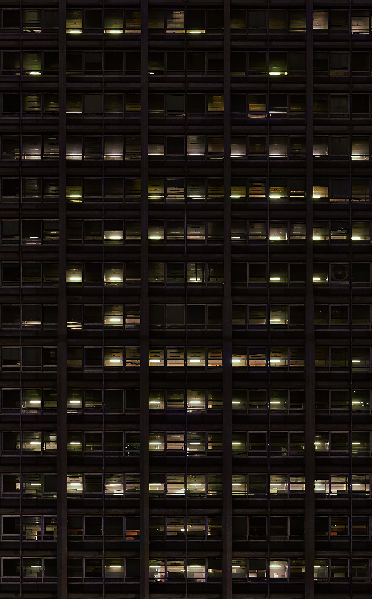 Windows in the night