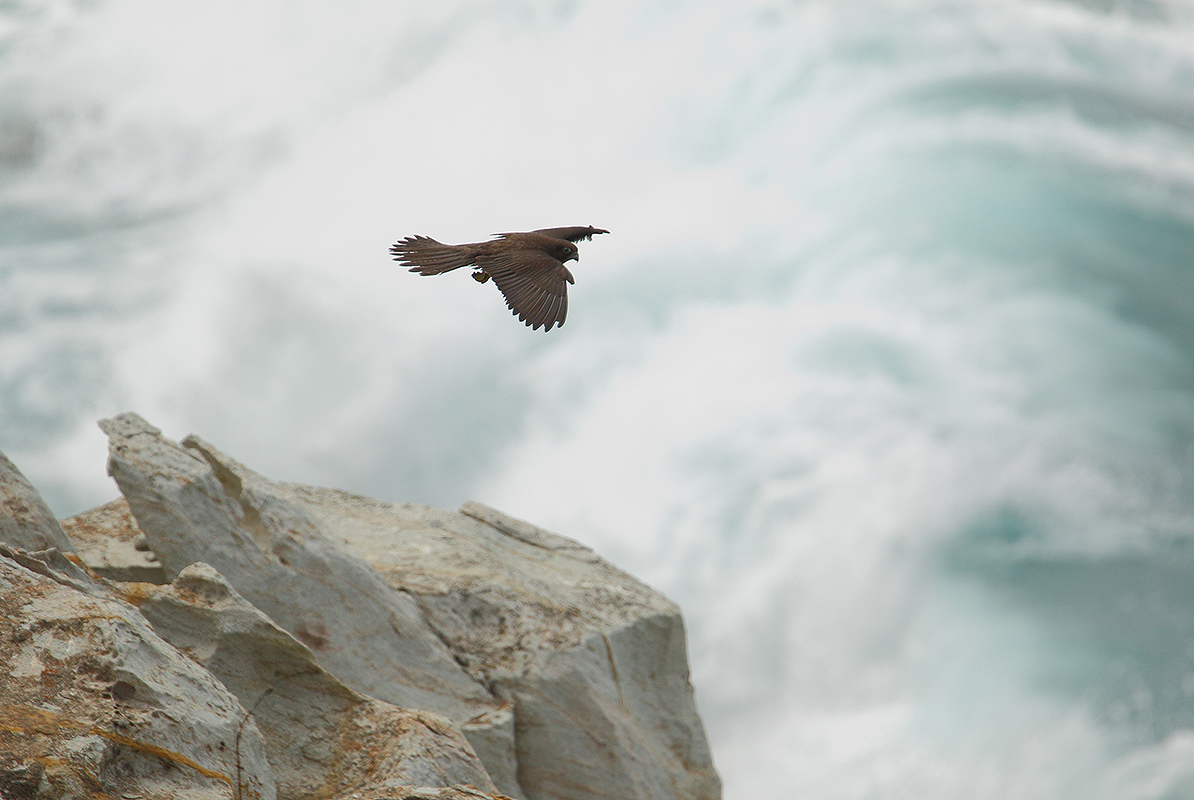 flying over the cliff