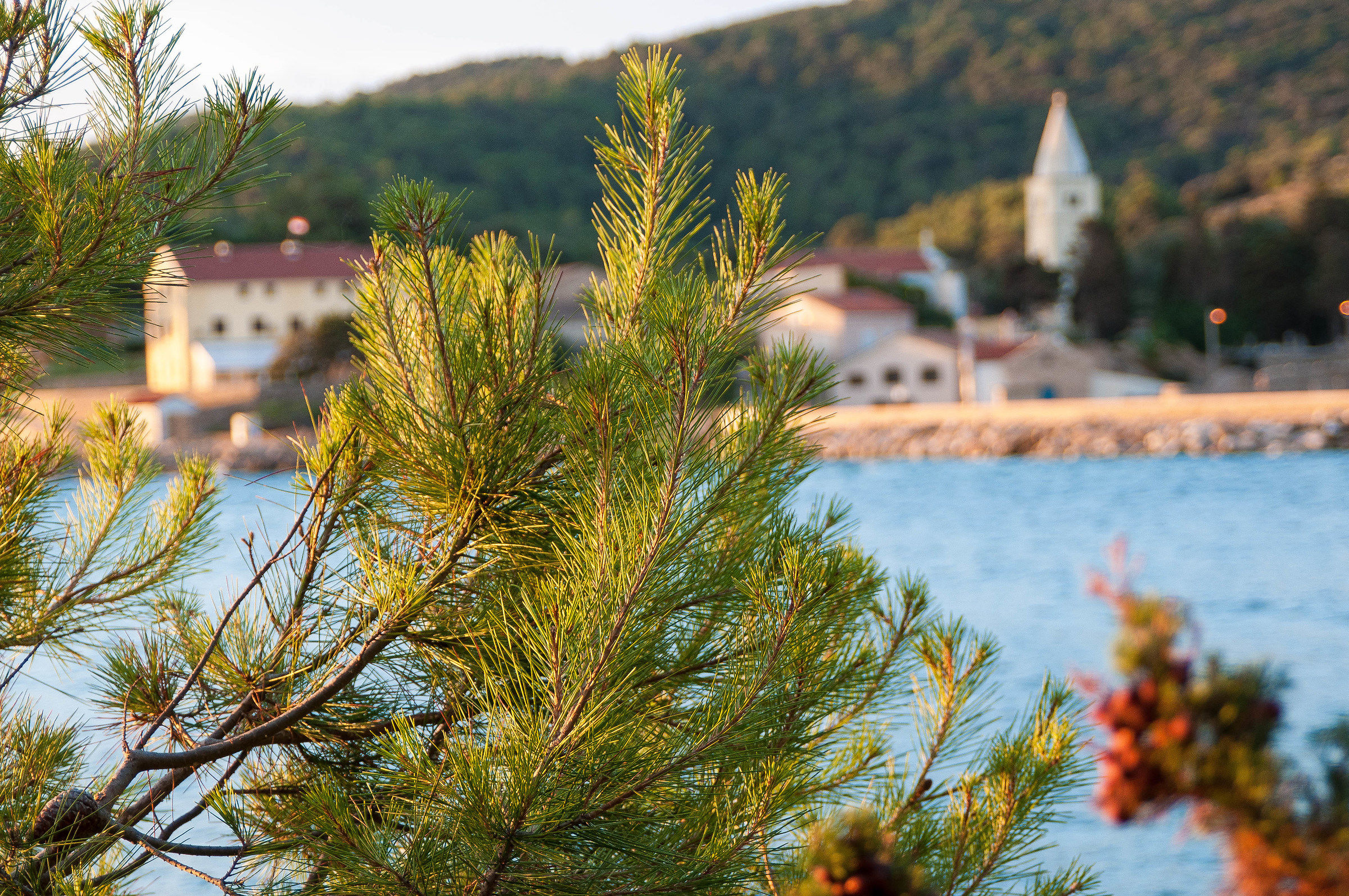 glimpse of the country