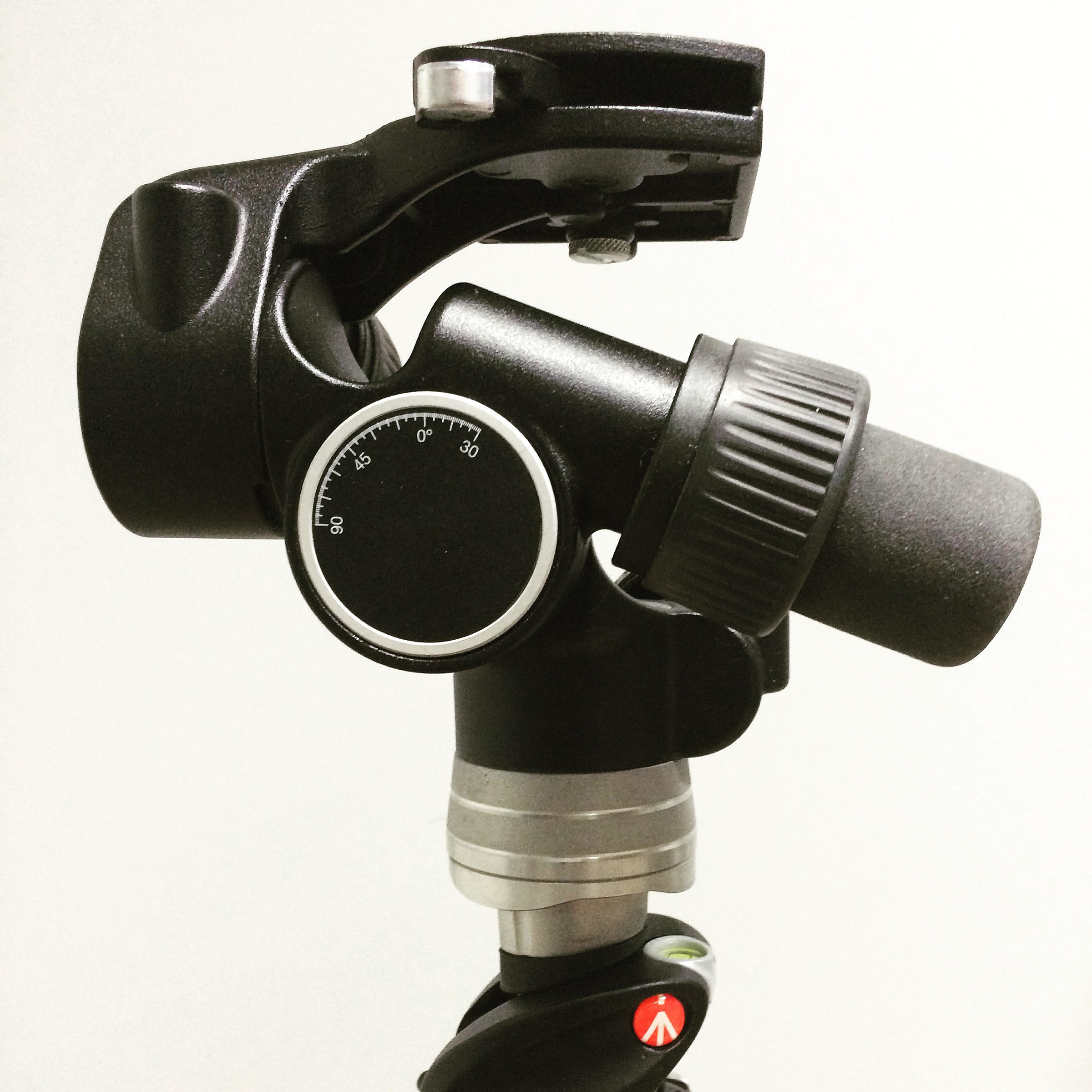 La Mia Piccola Testina