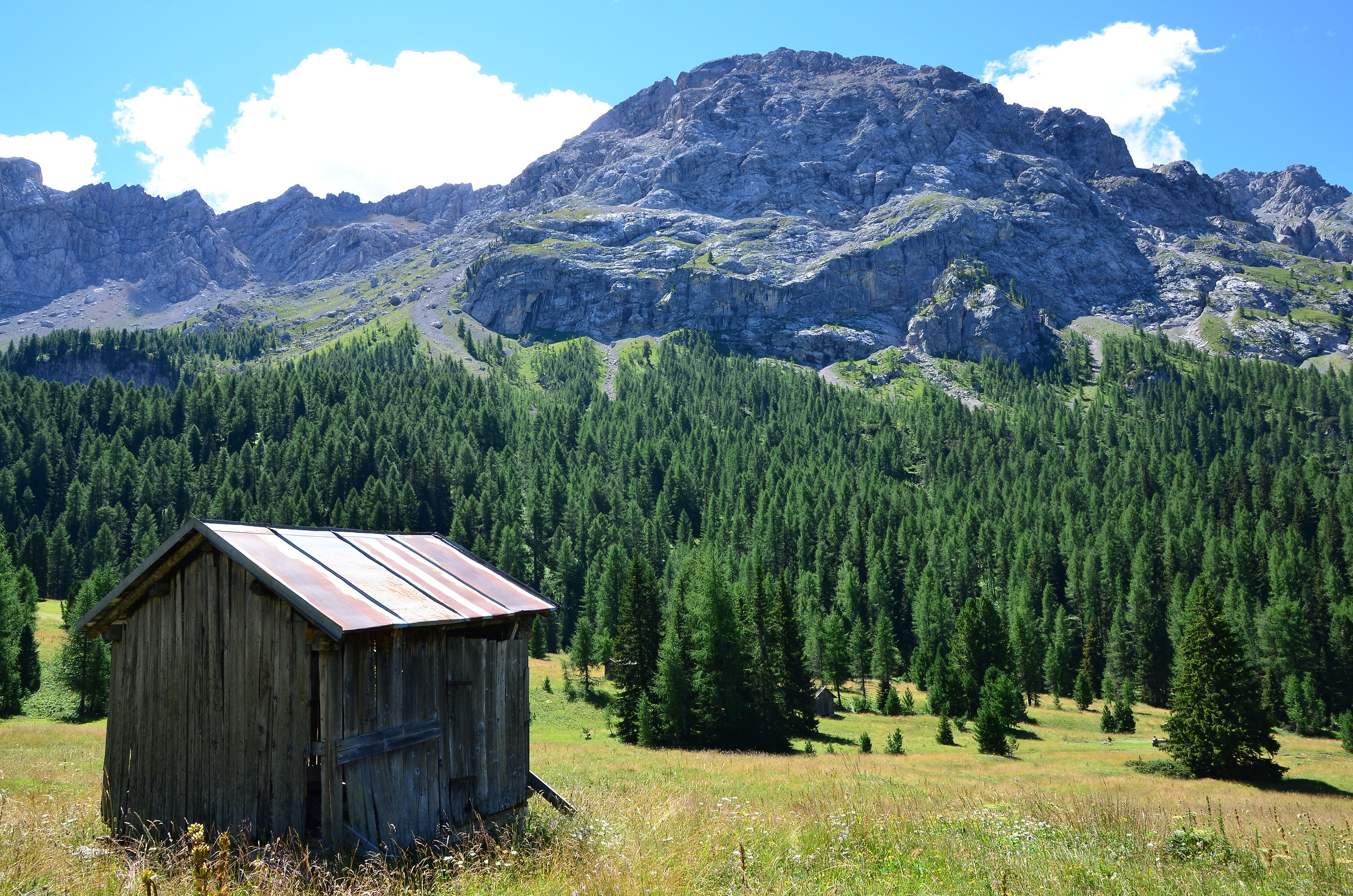 Sullo sfondo il cima Costabella(Val S.Nicolò)