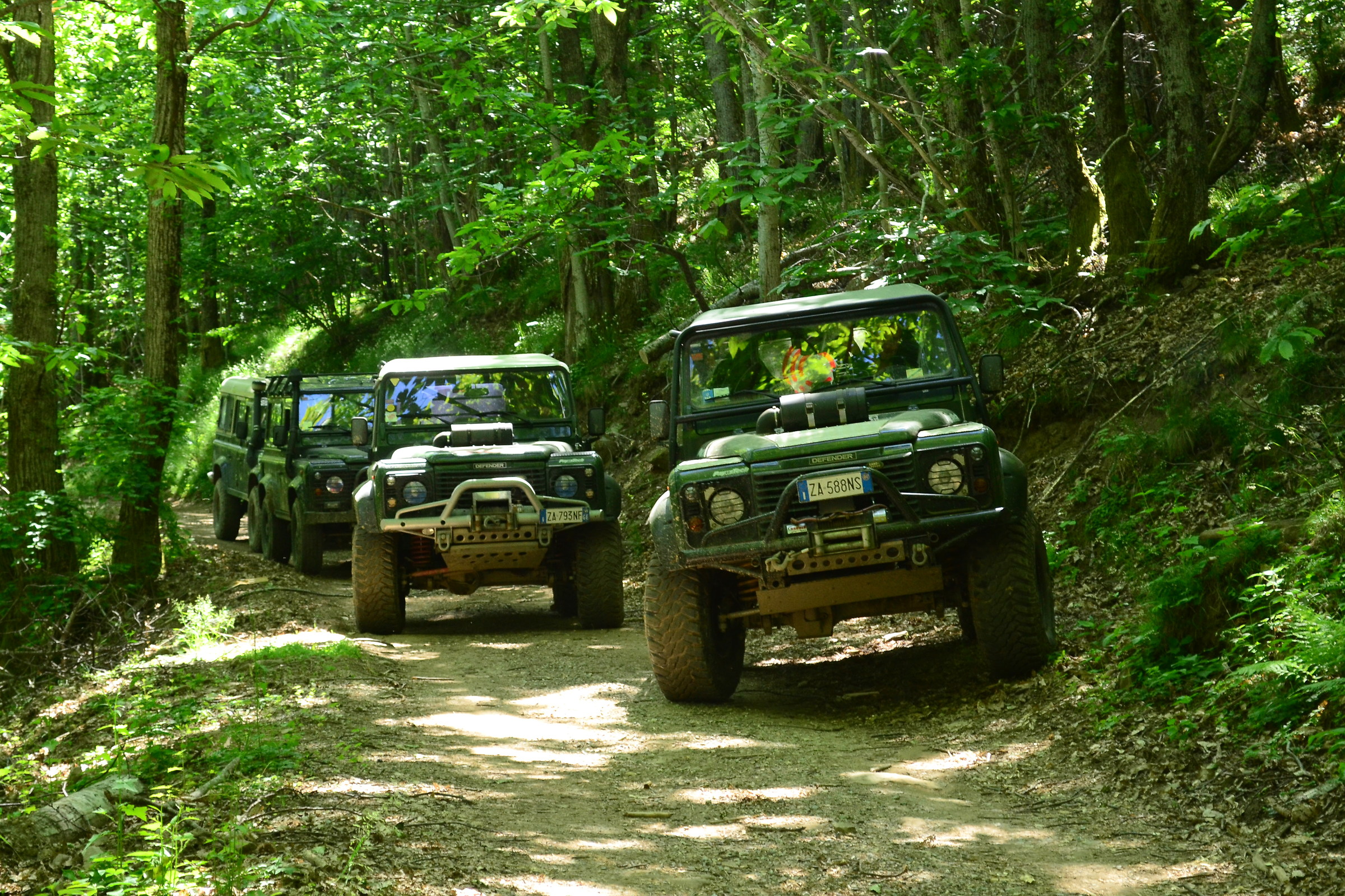 Land,Defender,Raduno,Bosco