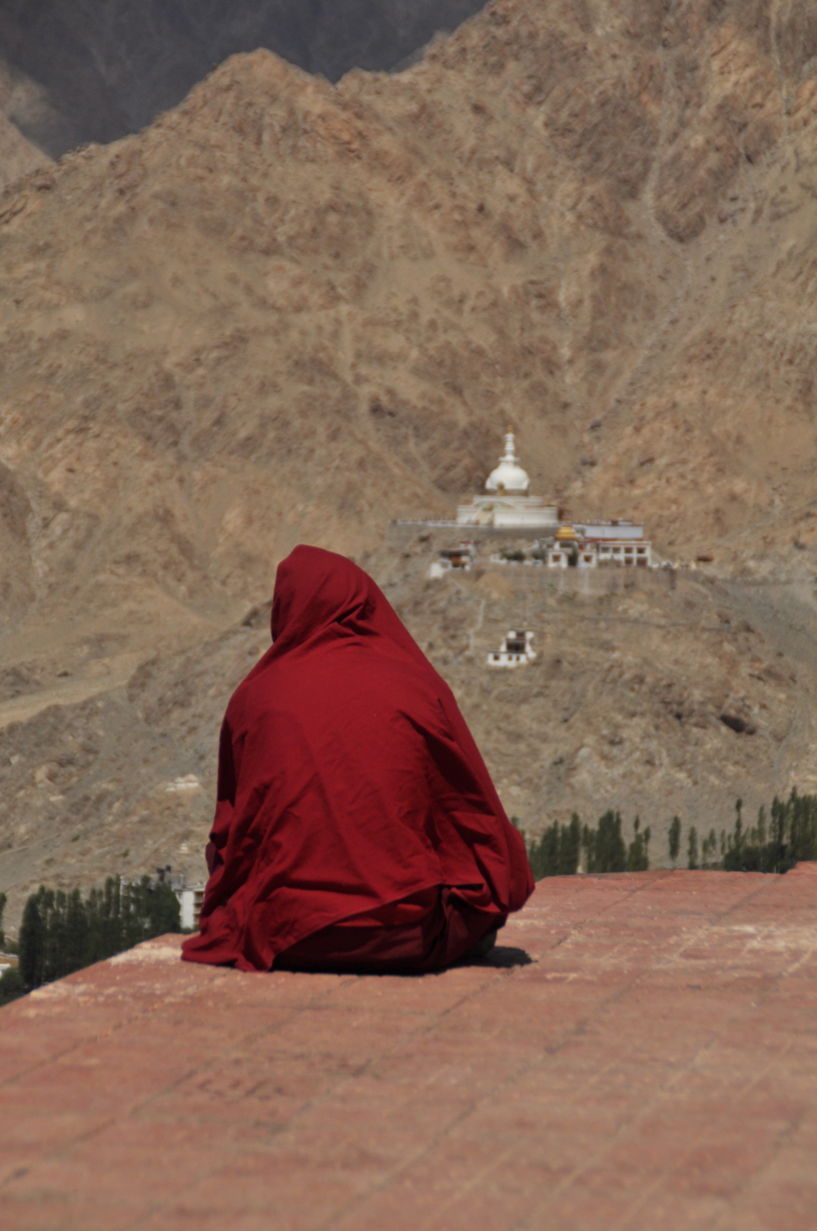 Monk praying - Leh, Ladakh