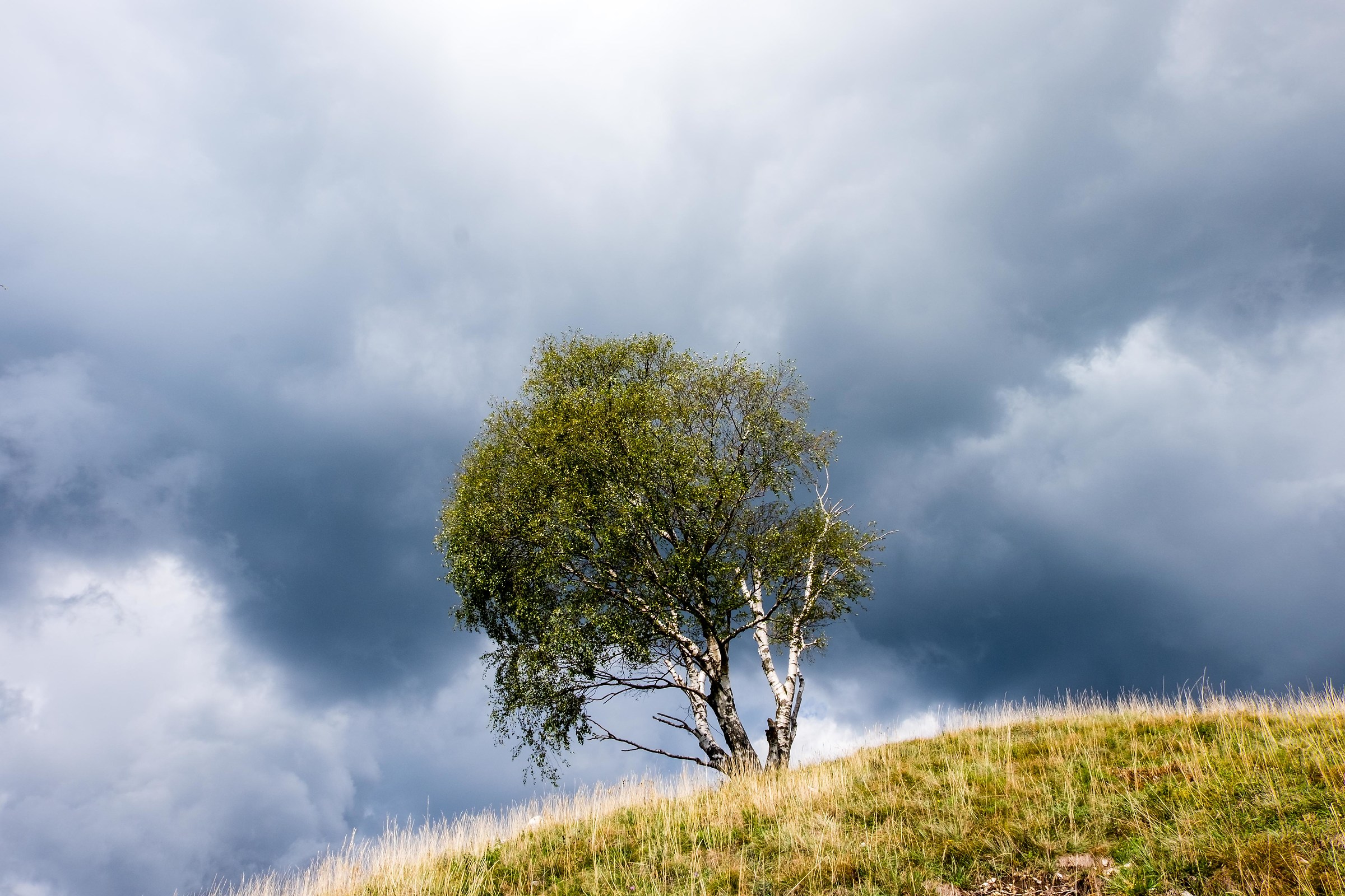 aspettando il temporale