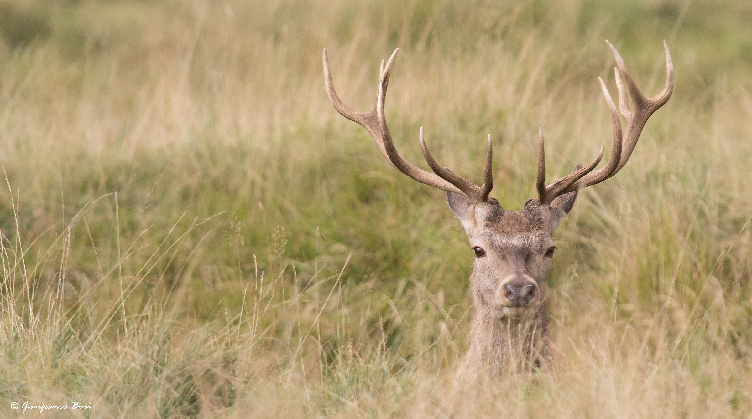 I'm watching you !!!