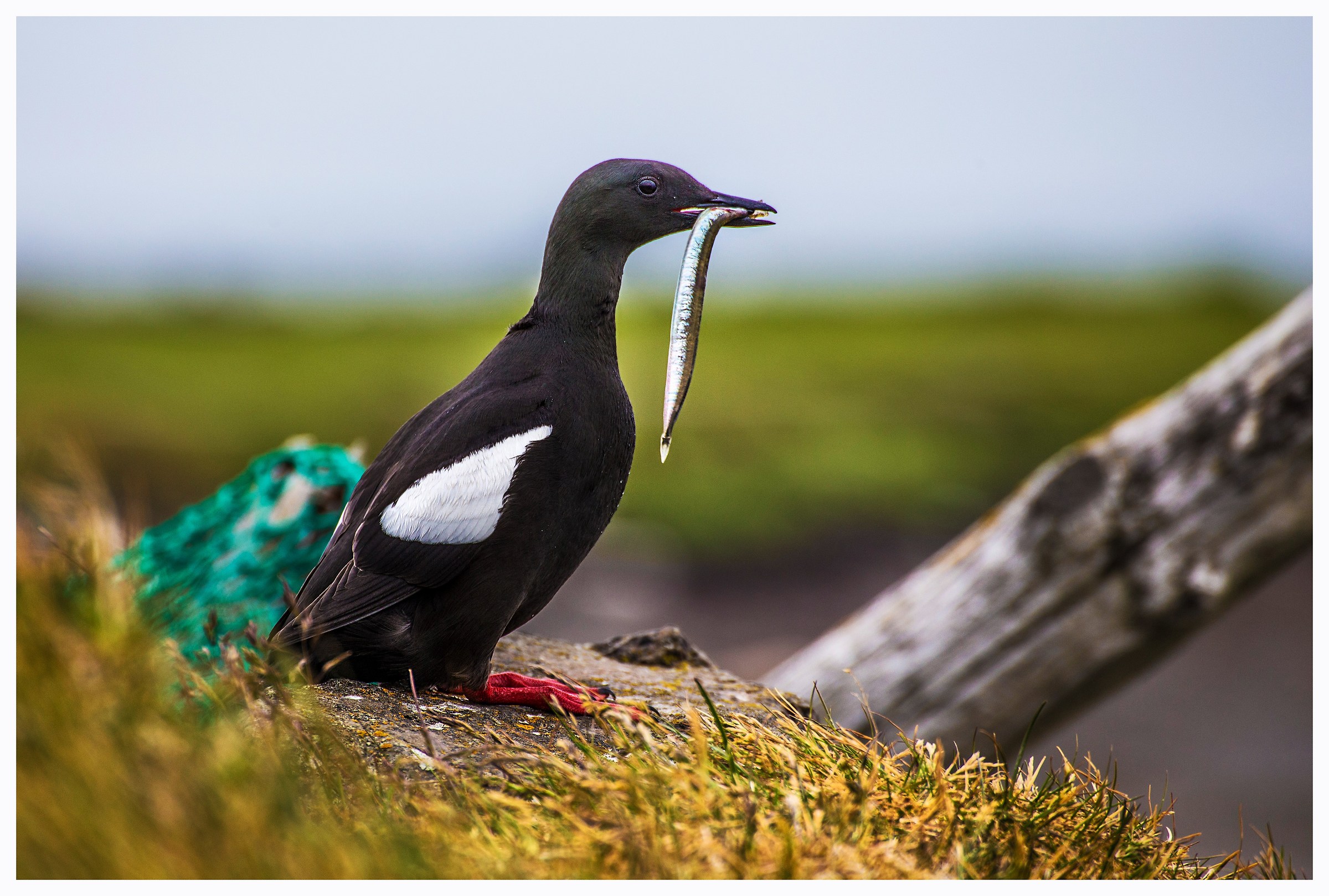 Uno spuntino e via...