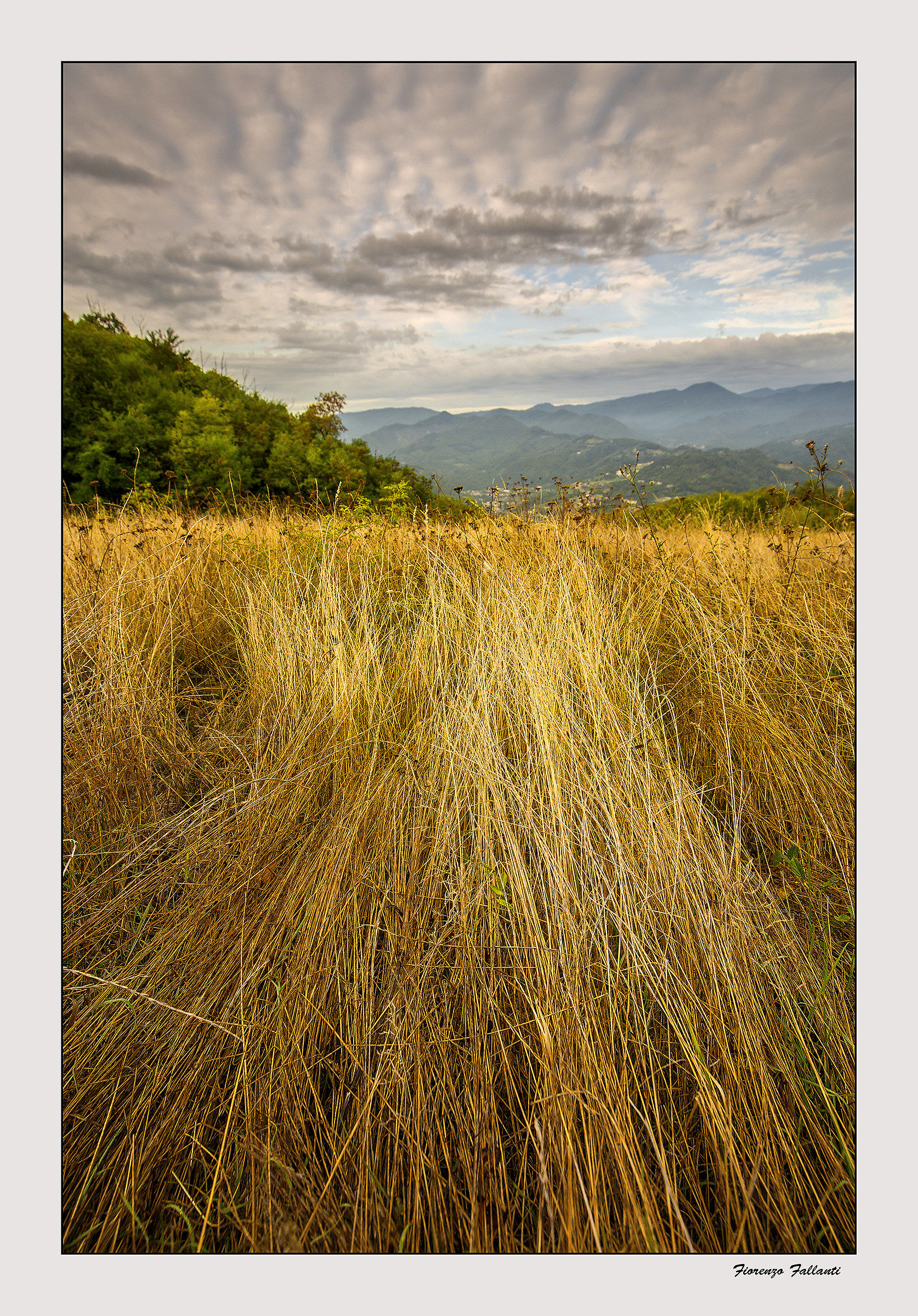 ...la mia verde valle...