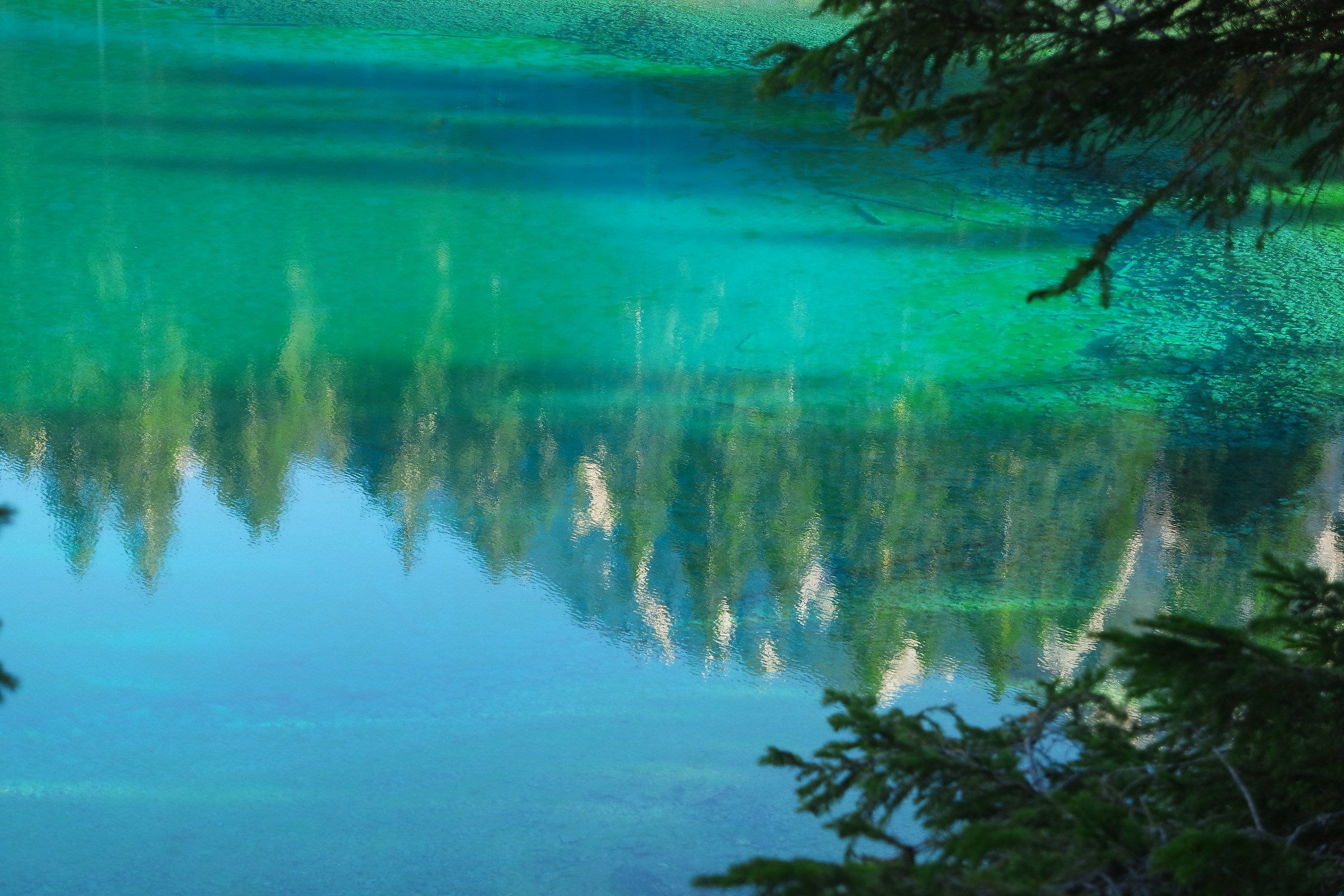 riflessi sul lago di carezza