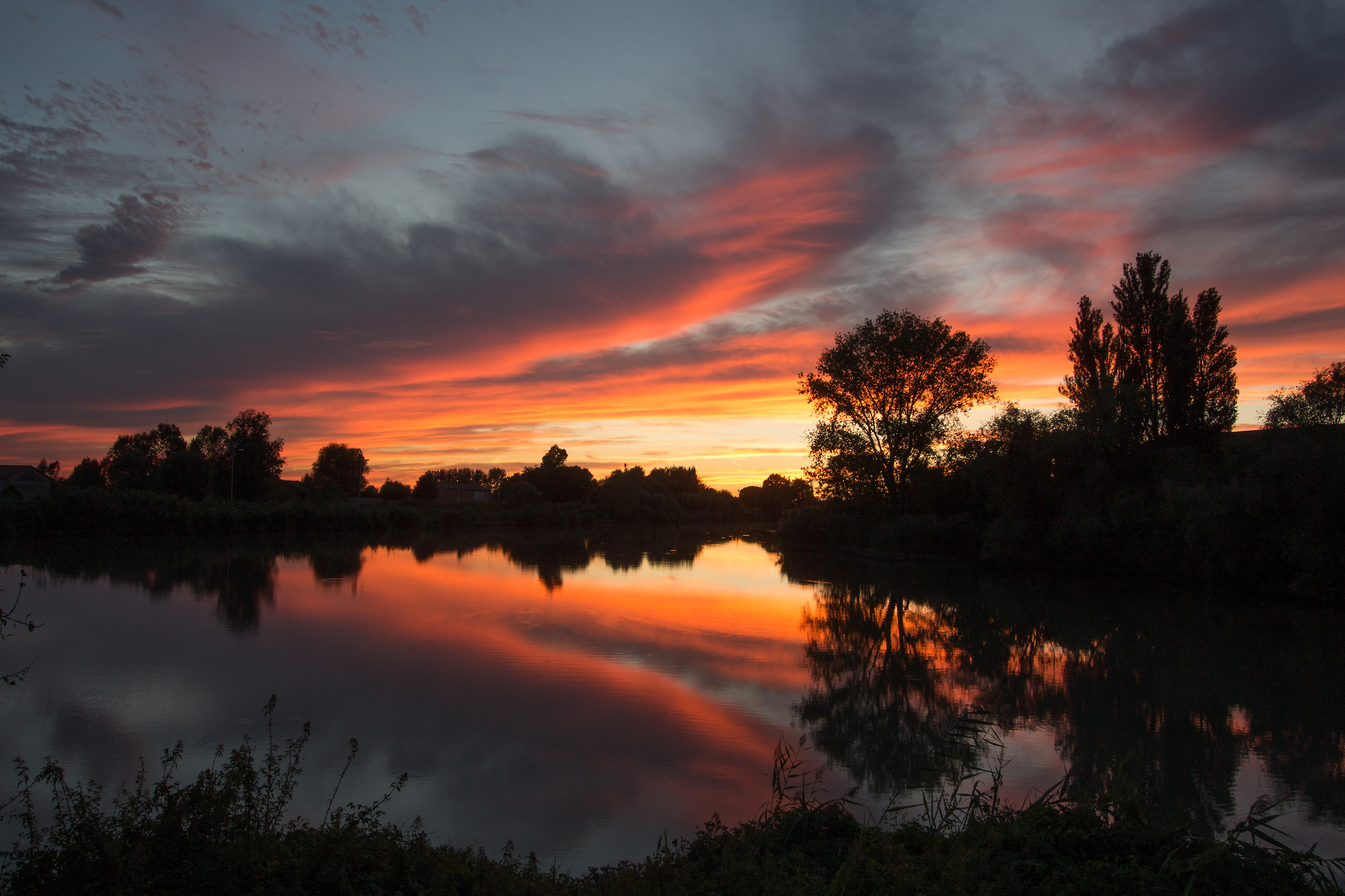 COMEMAMMAMHAFATTO-Septem Maria