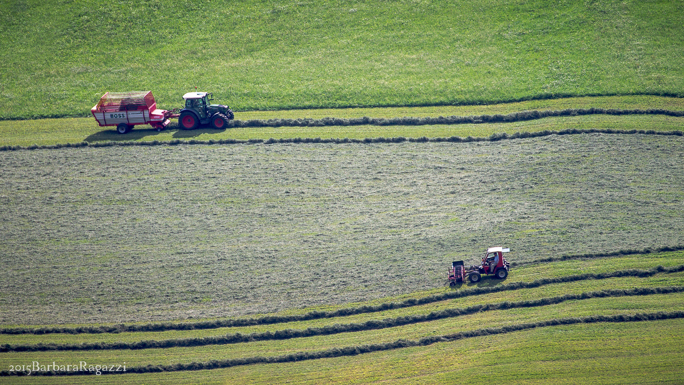 Ognuno fa il suo lavoro