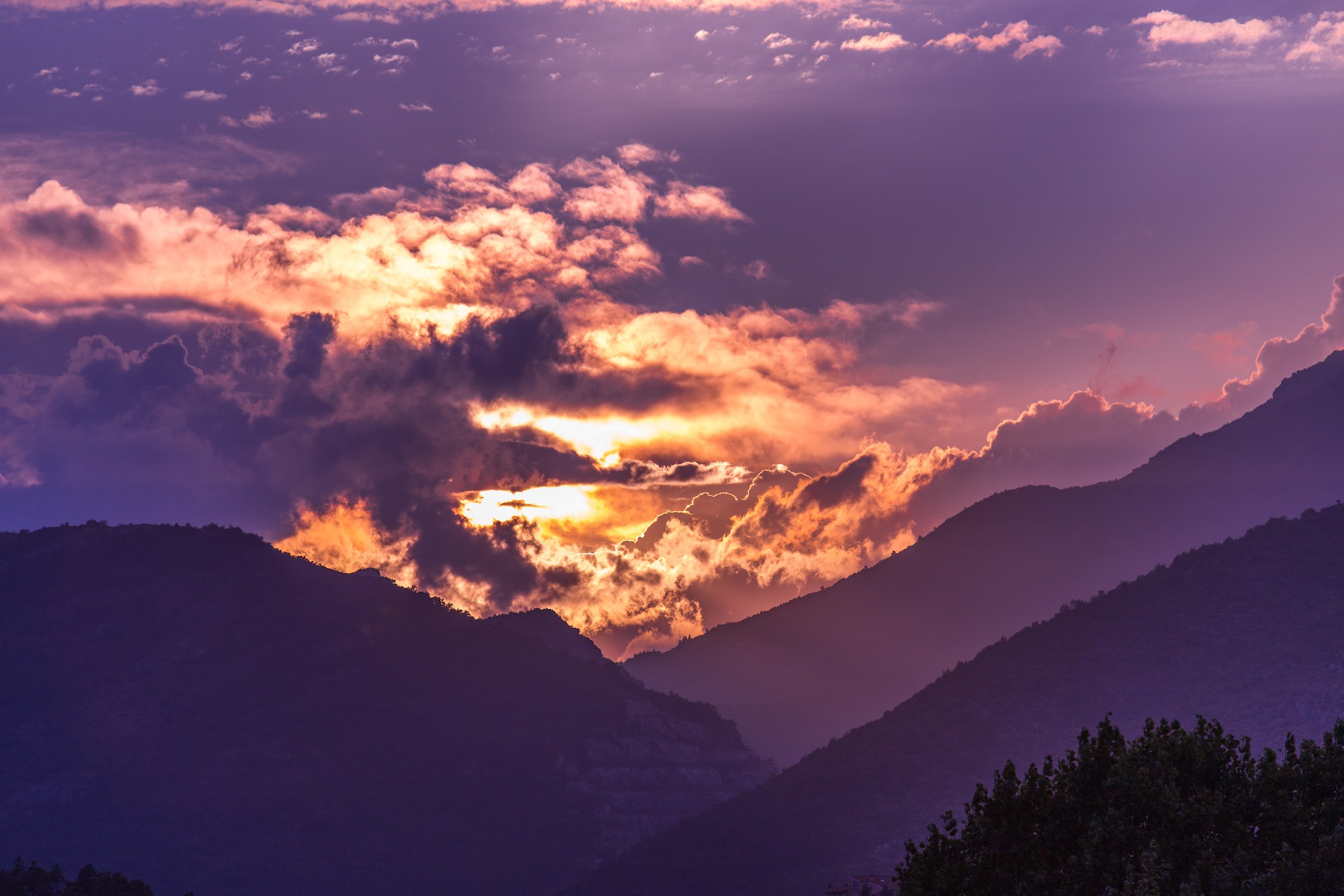 A normal evening Ligurian