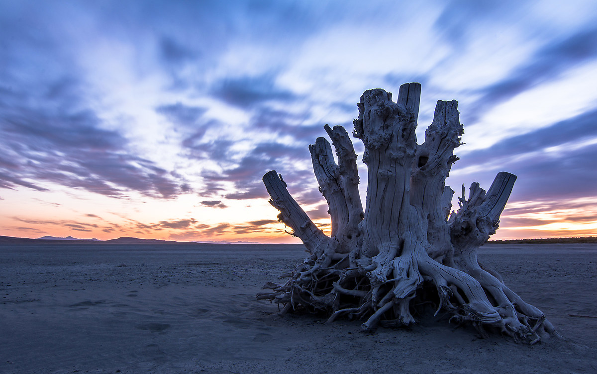 sunset into the desert
