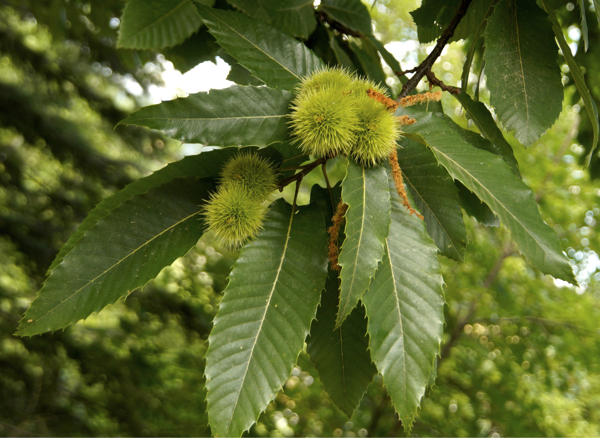 Soffici...ancora per poco!