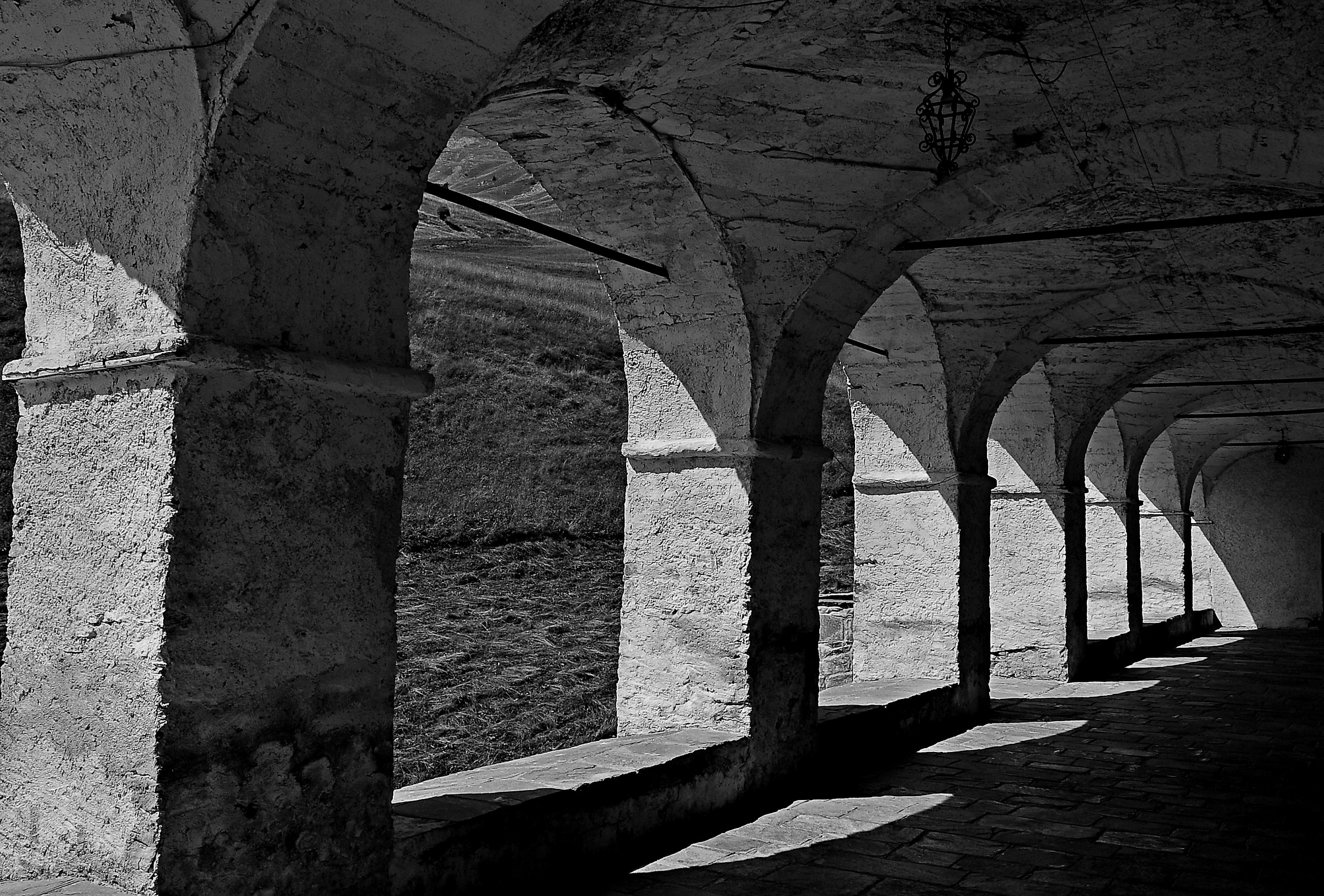 Only the rustle of the wind ... (b / w)