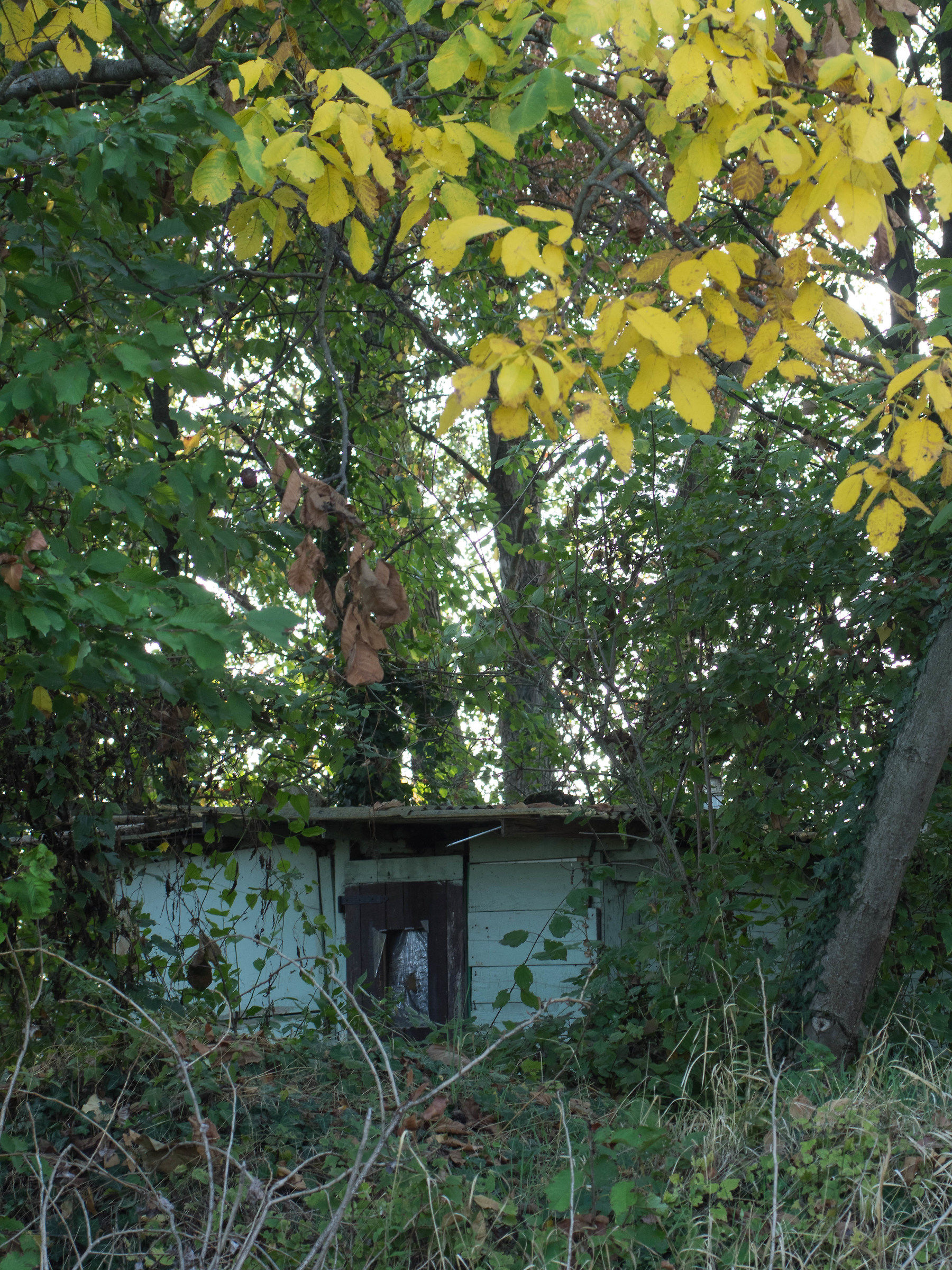 Sugli argini del Tidone