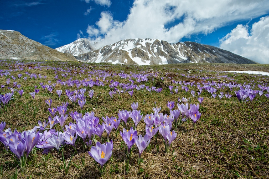 Campo Imperatore