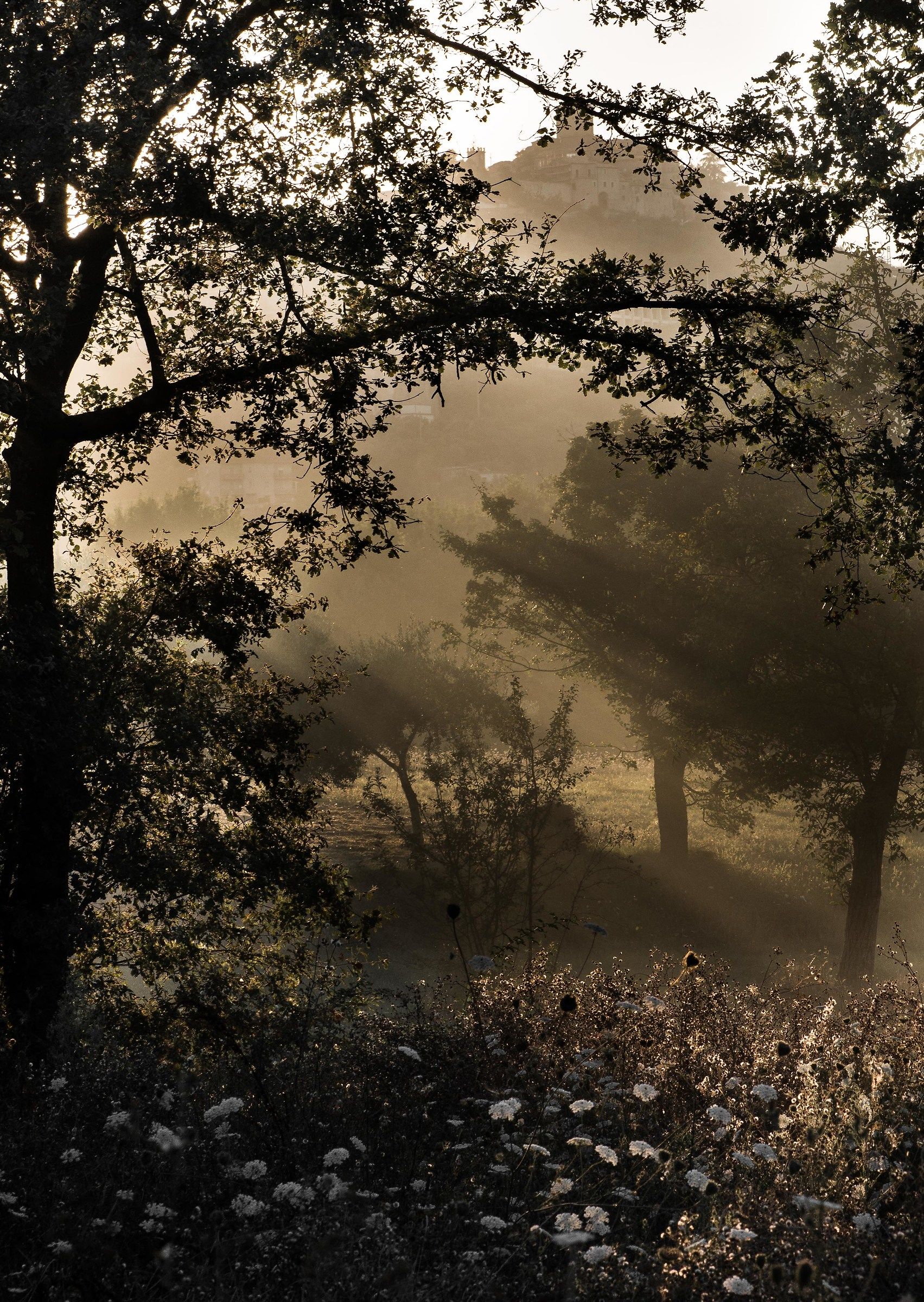 Monte San Giovanni Campano