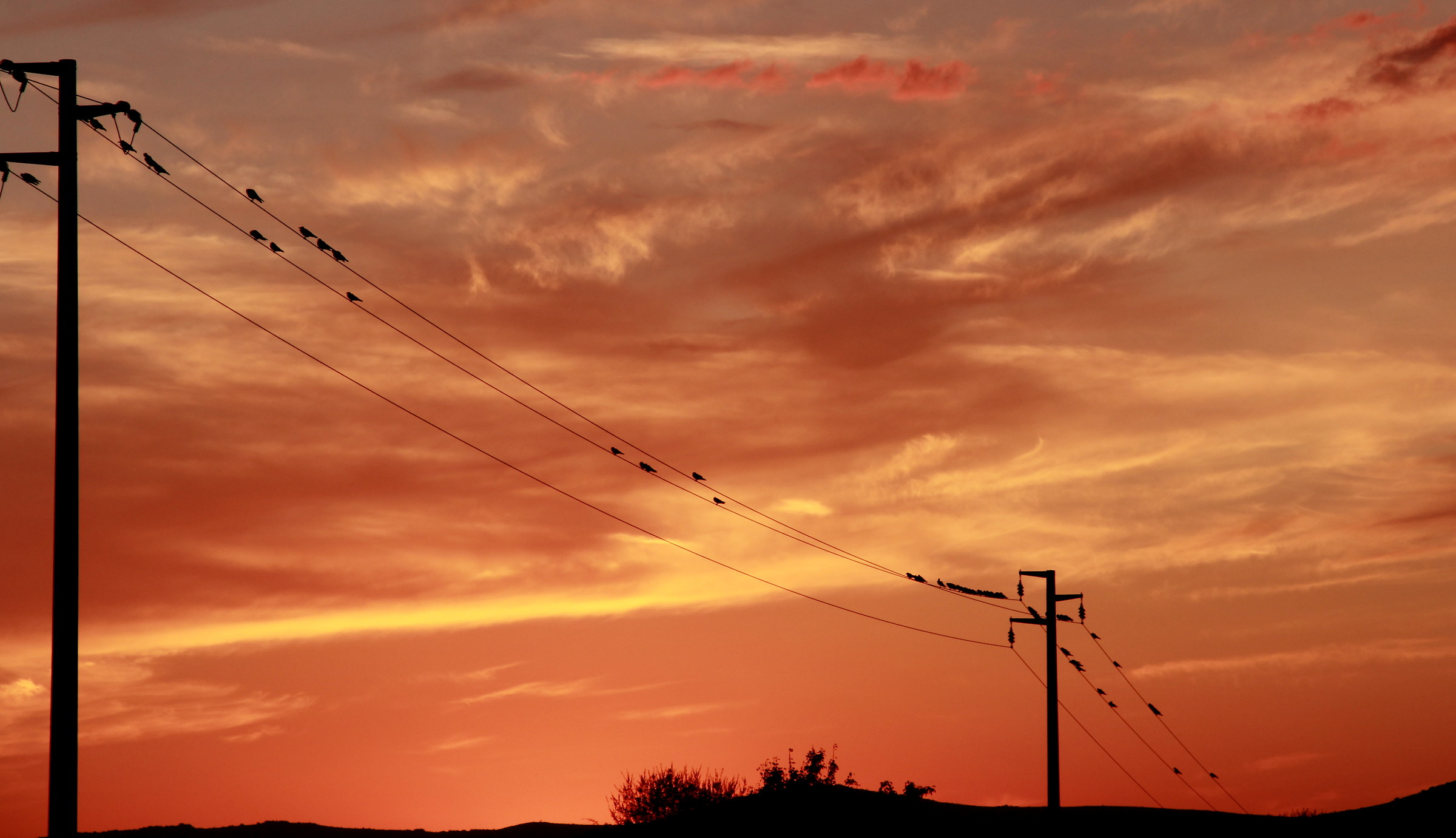 Meeting before going to bed
