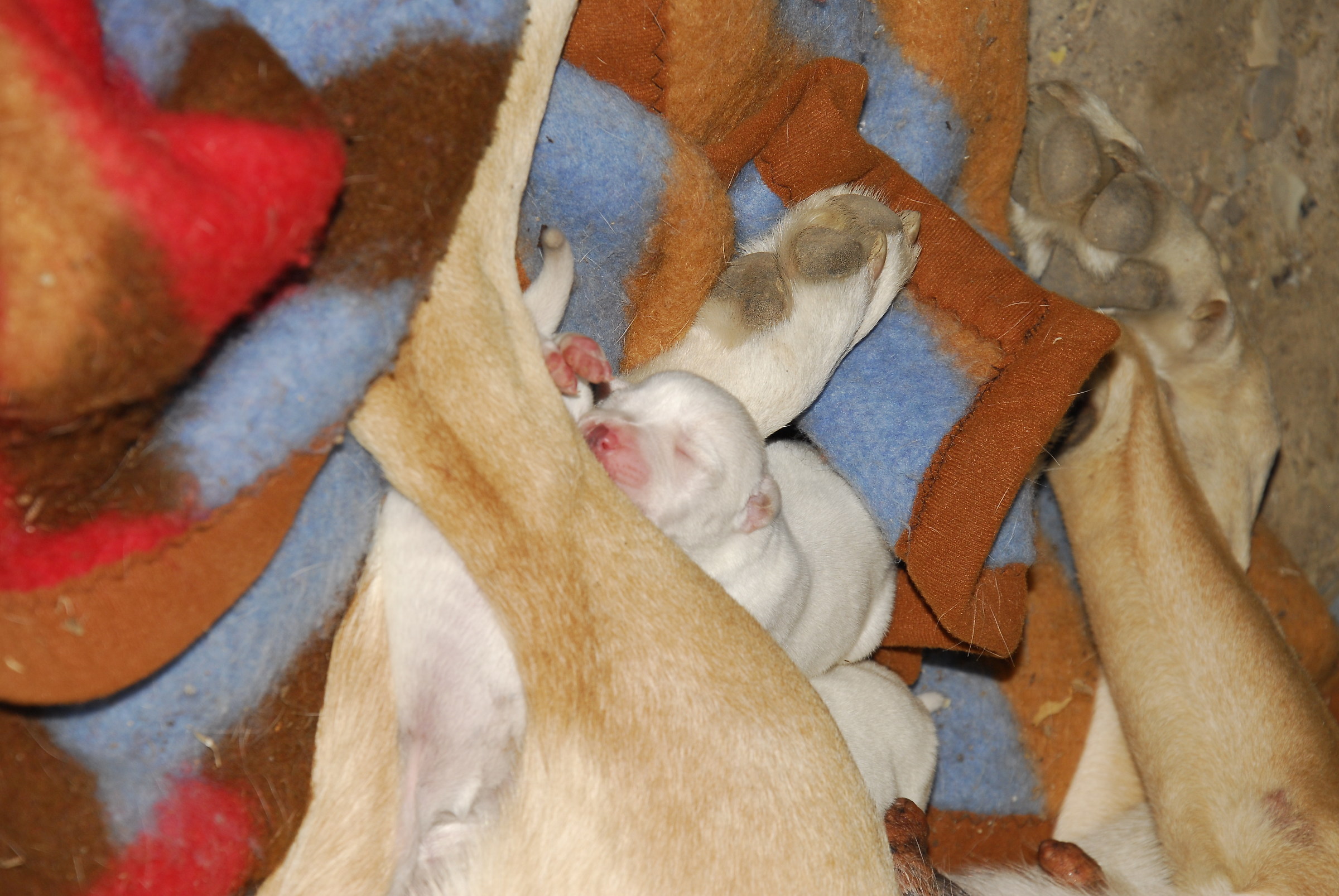 after the baby food you sleep