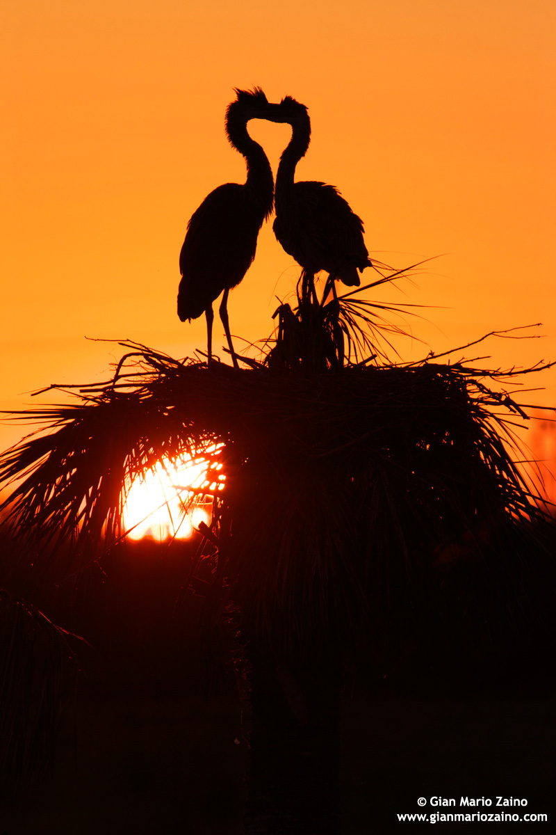 It 'was a night to remember I love you ...