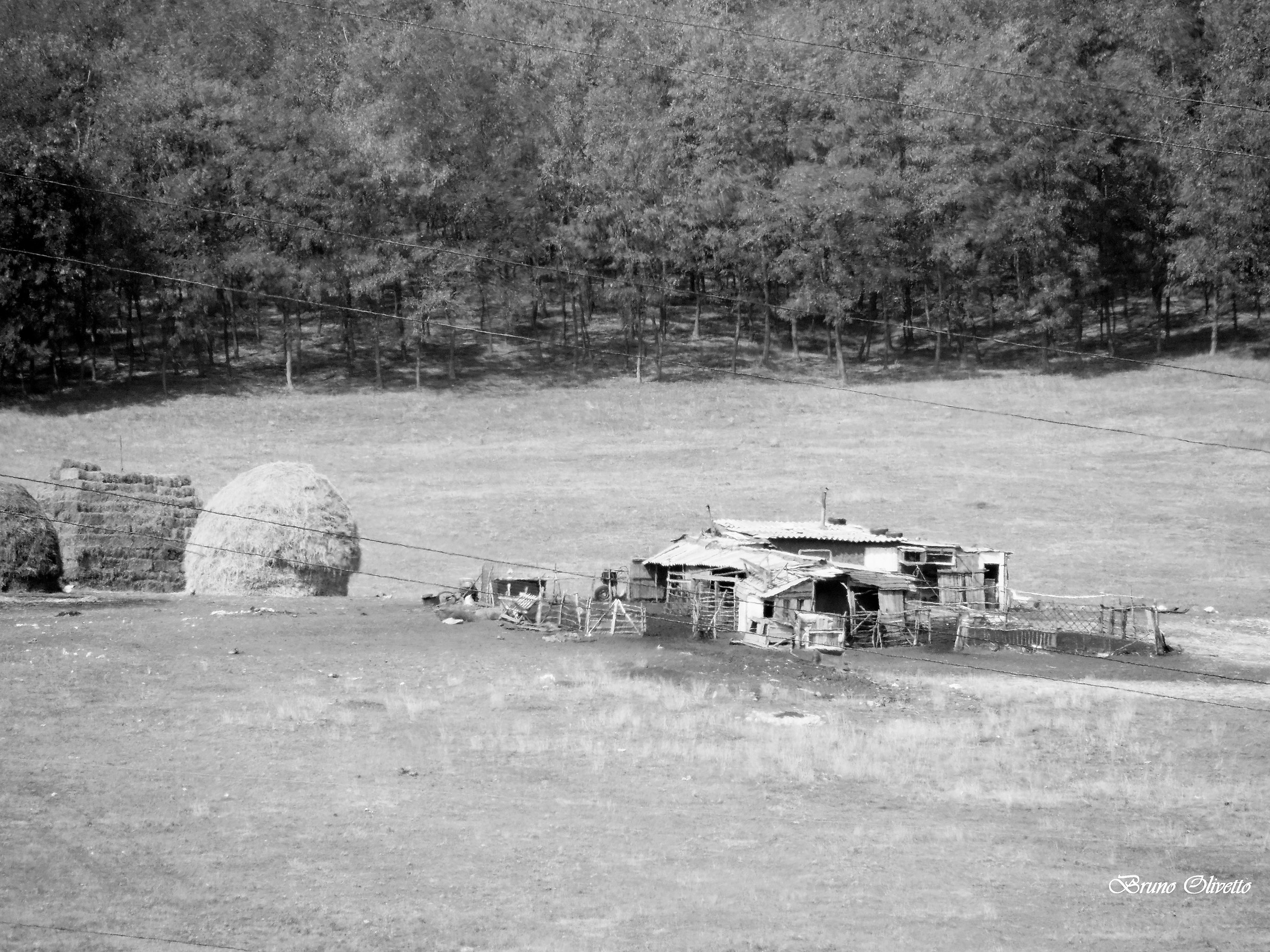 Stana costesti(Romania)