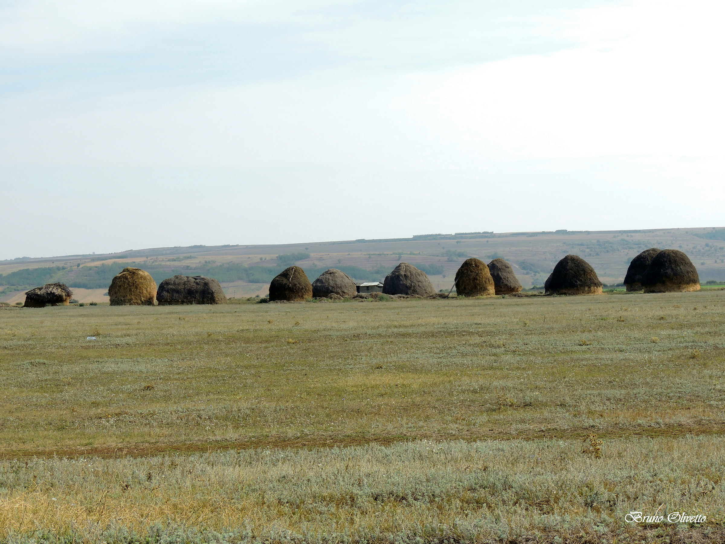 Stana Costesti (Romania)