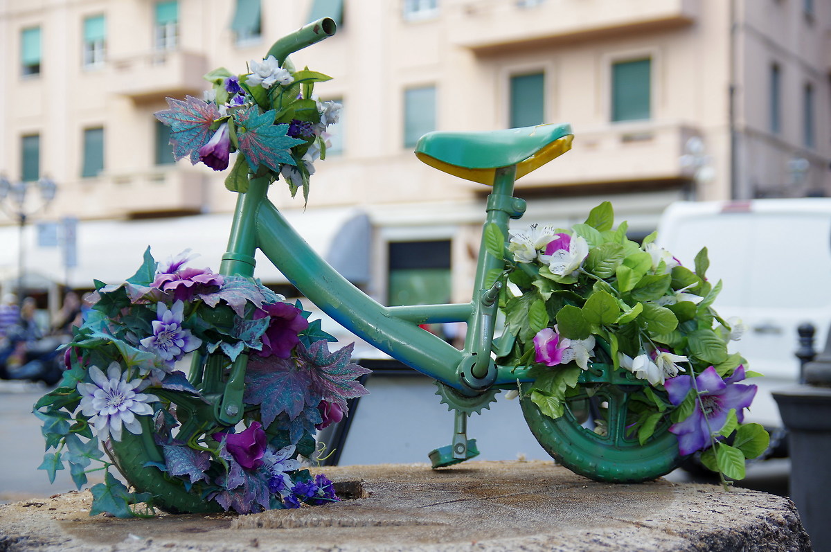 the biciclettina Fiorita