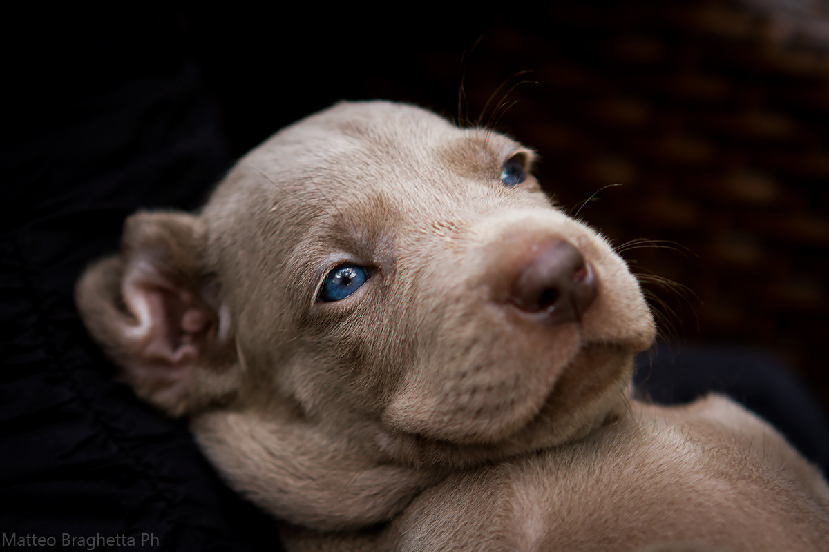 Qui si sta proprio bene