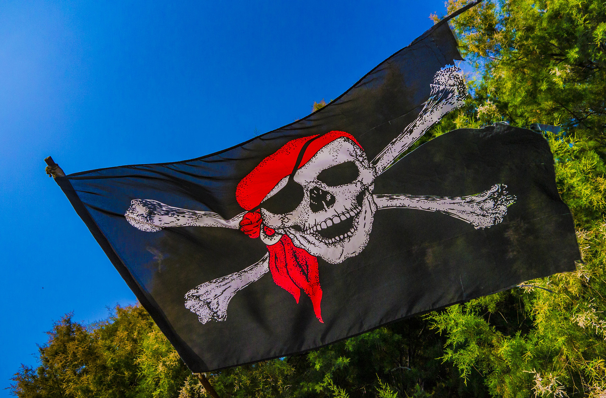 Skull and crossbones