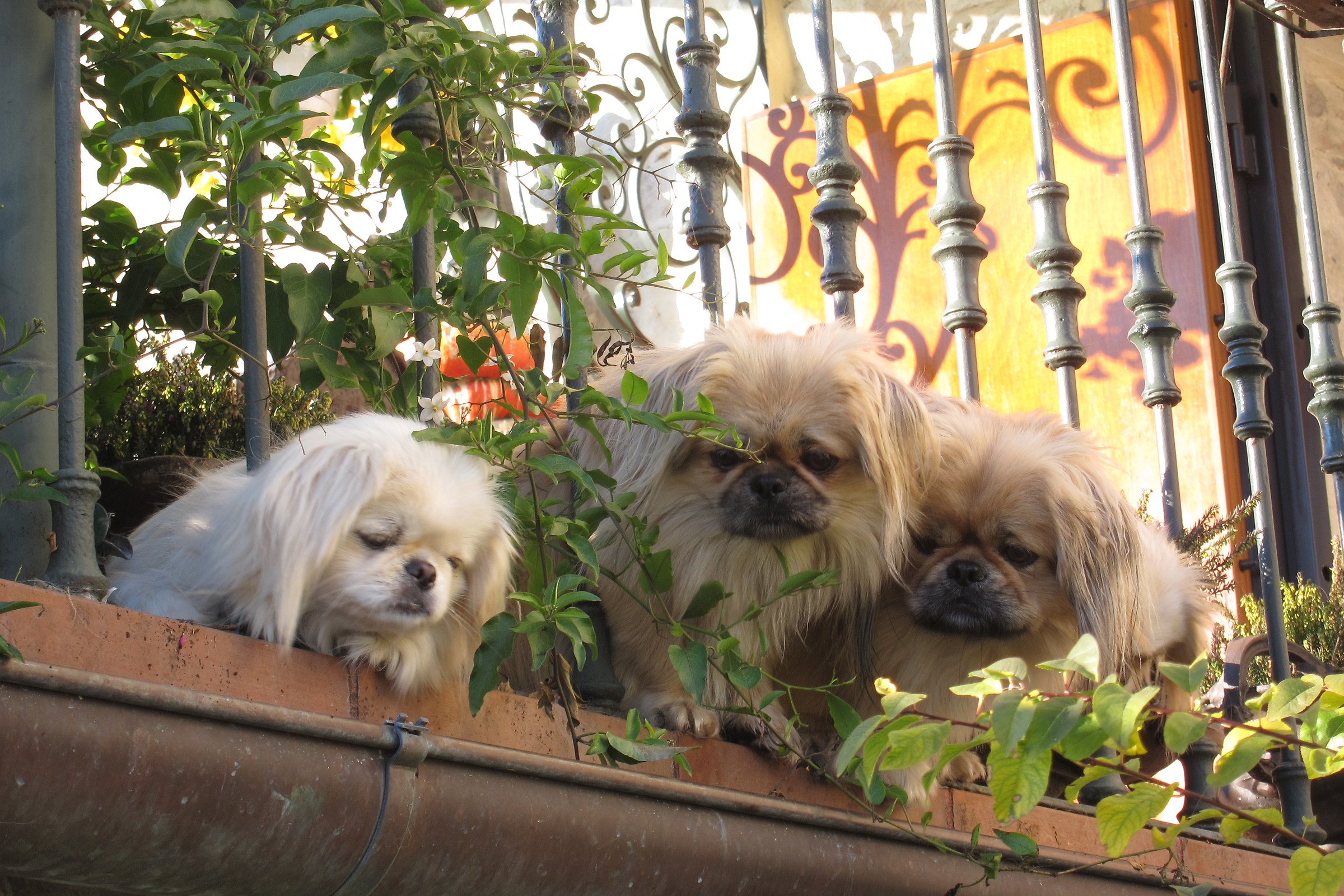 I tre guardiani di casa