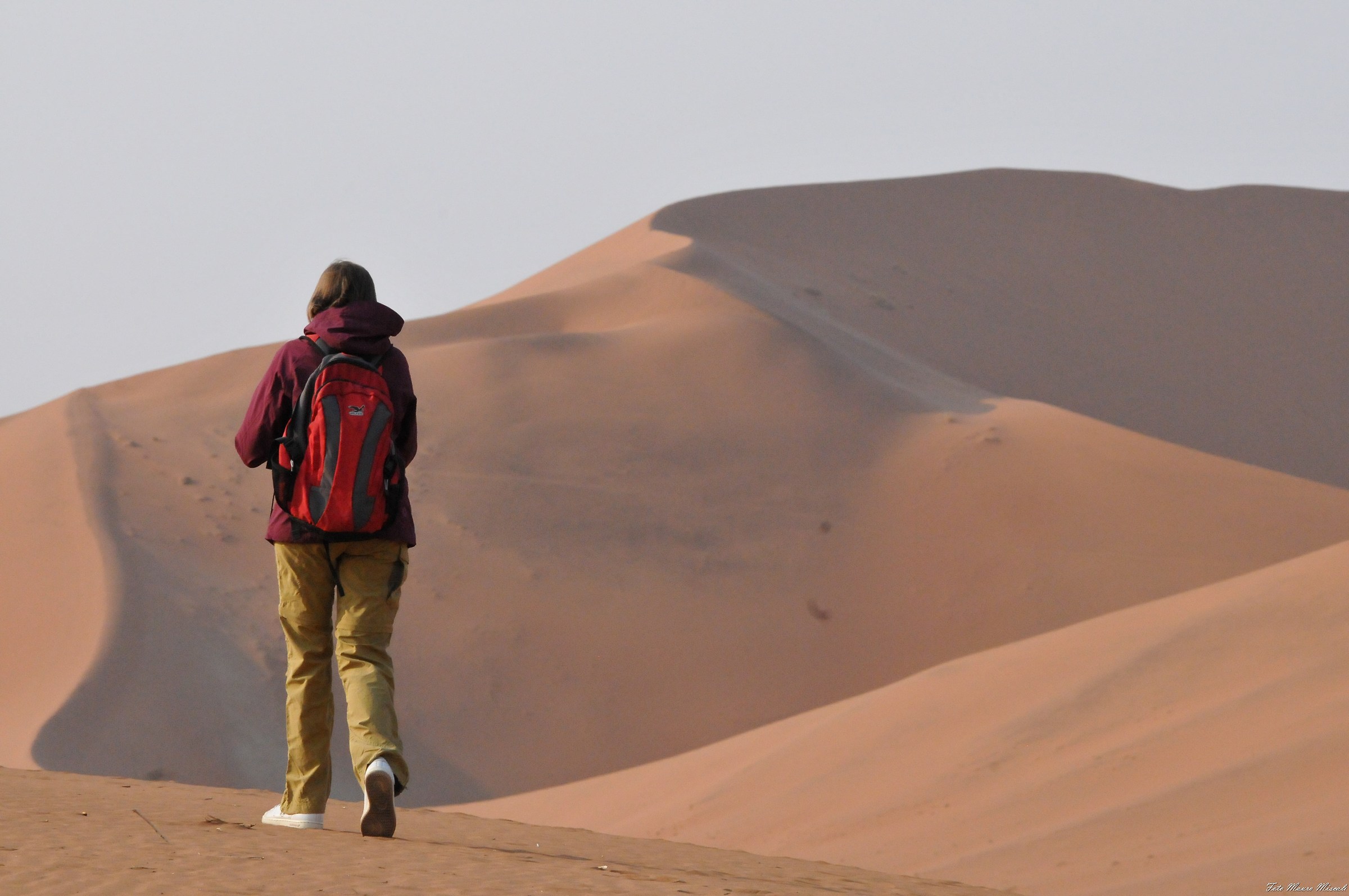 A walk through the dunes