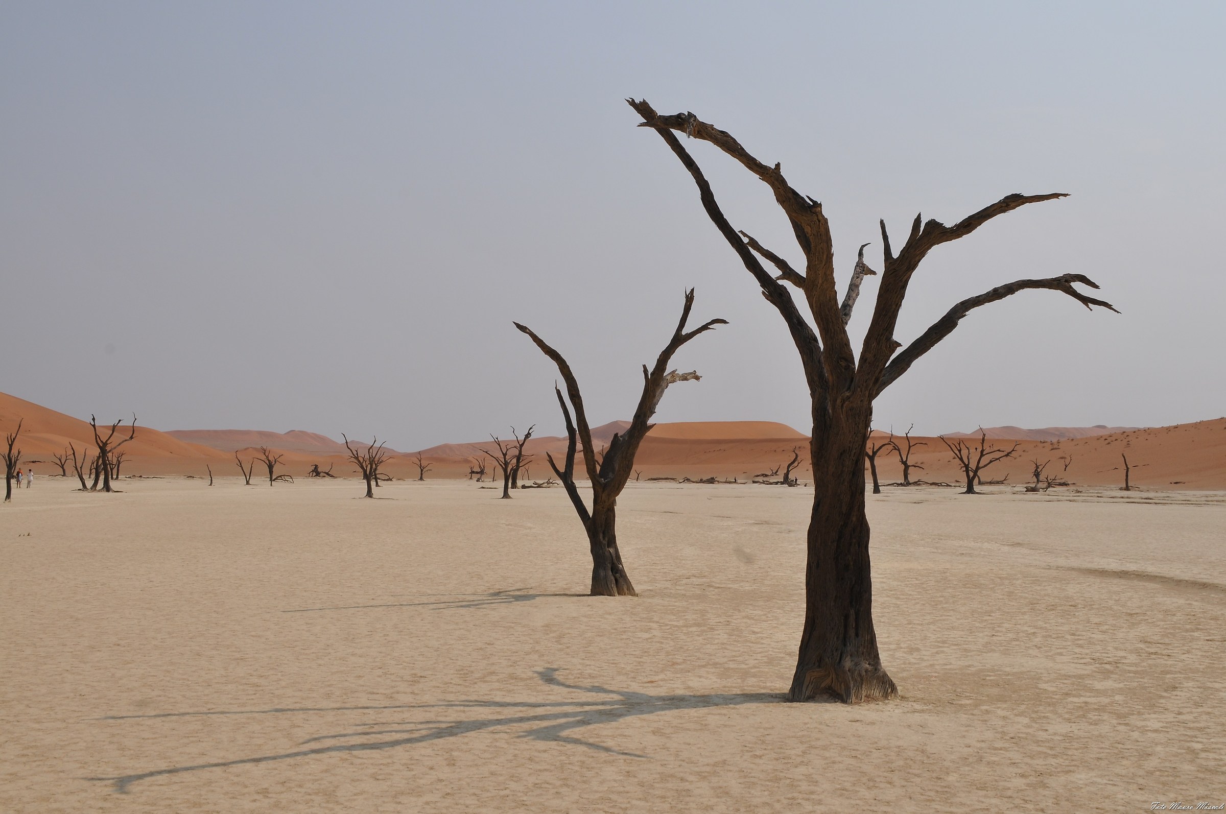 Deadvlei