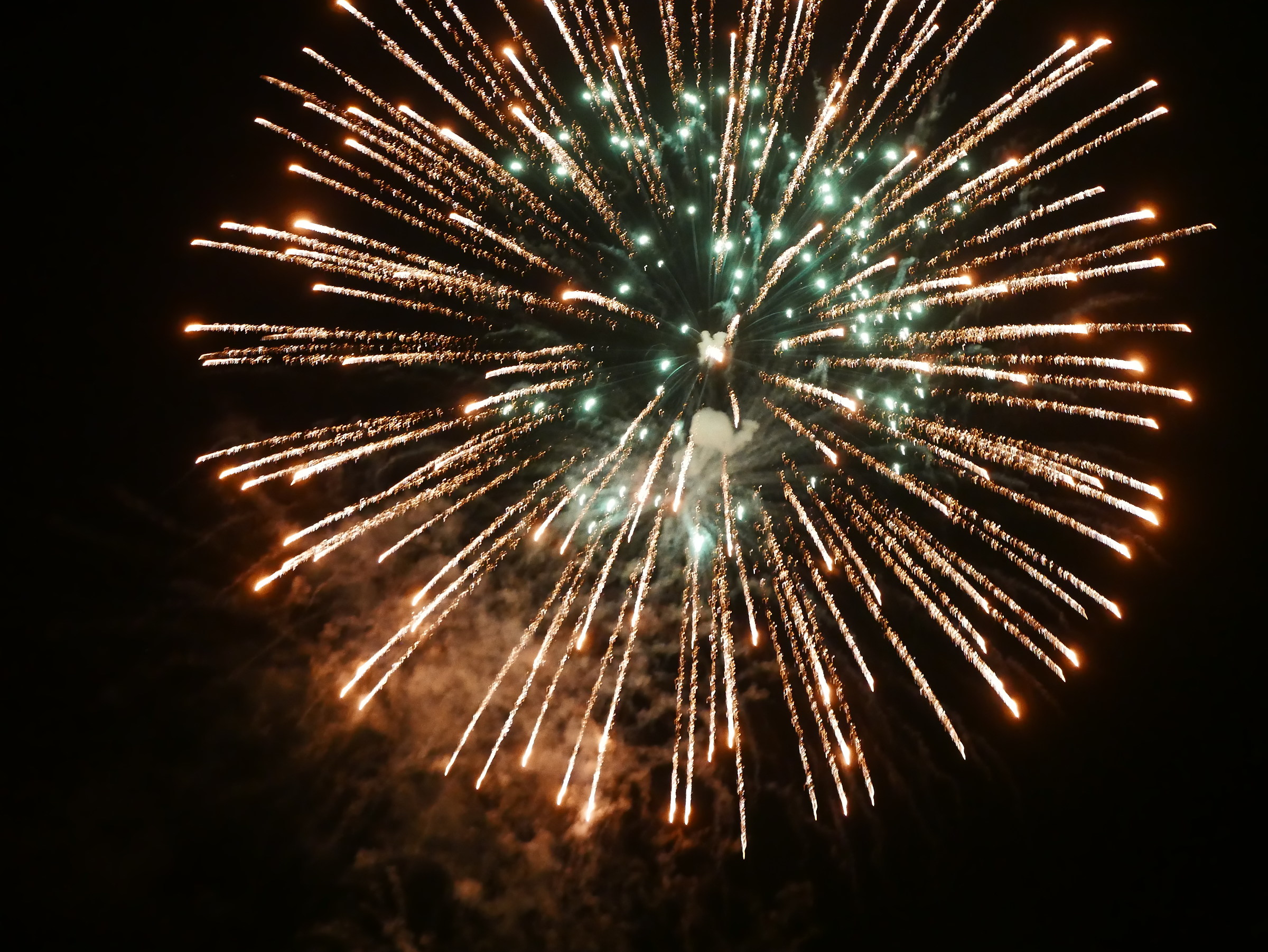 Leica D-Lux type 109 fireworks -