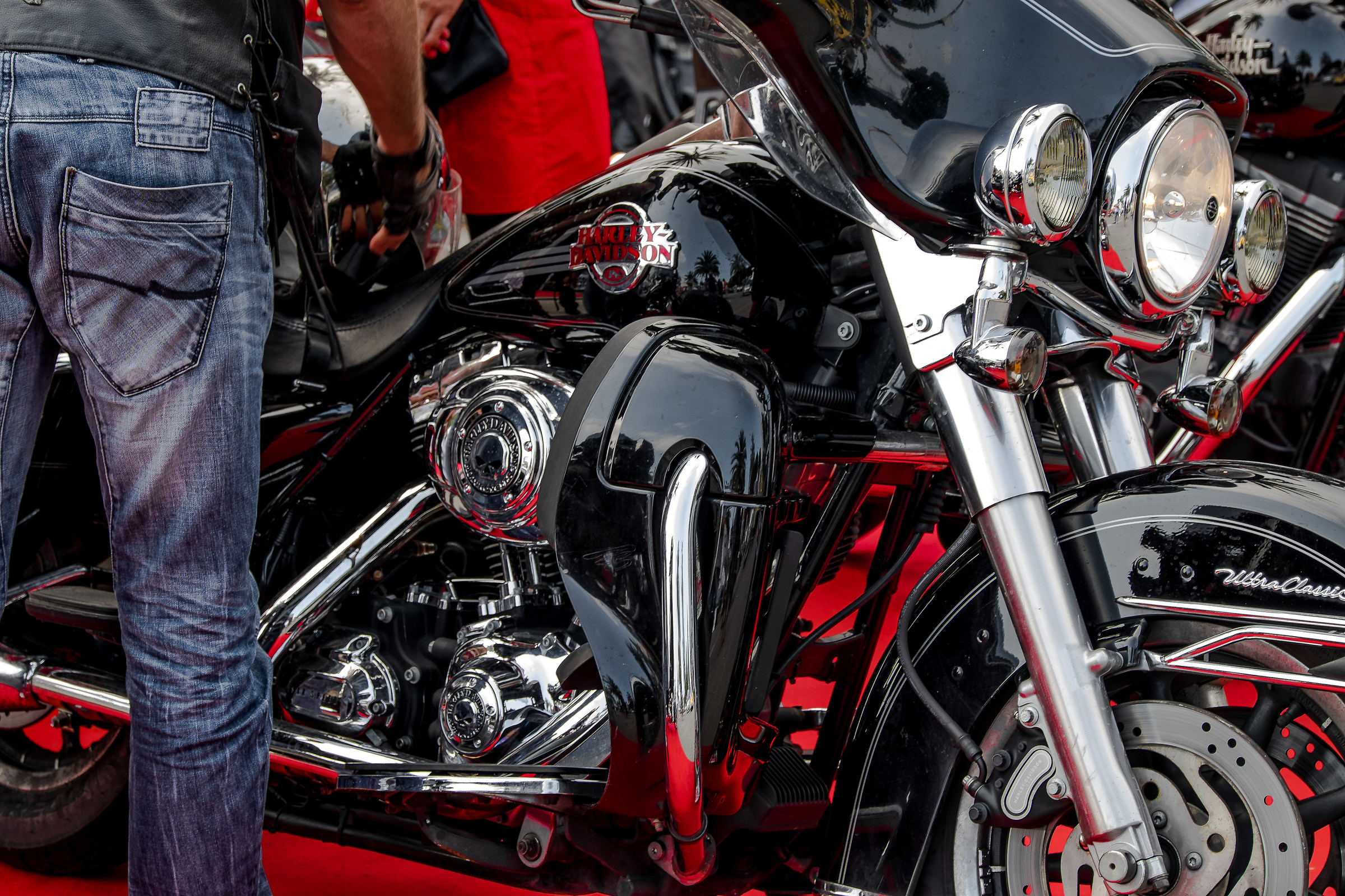 rouge & noir.............