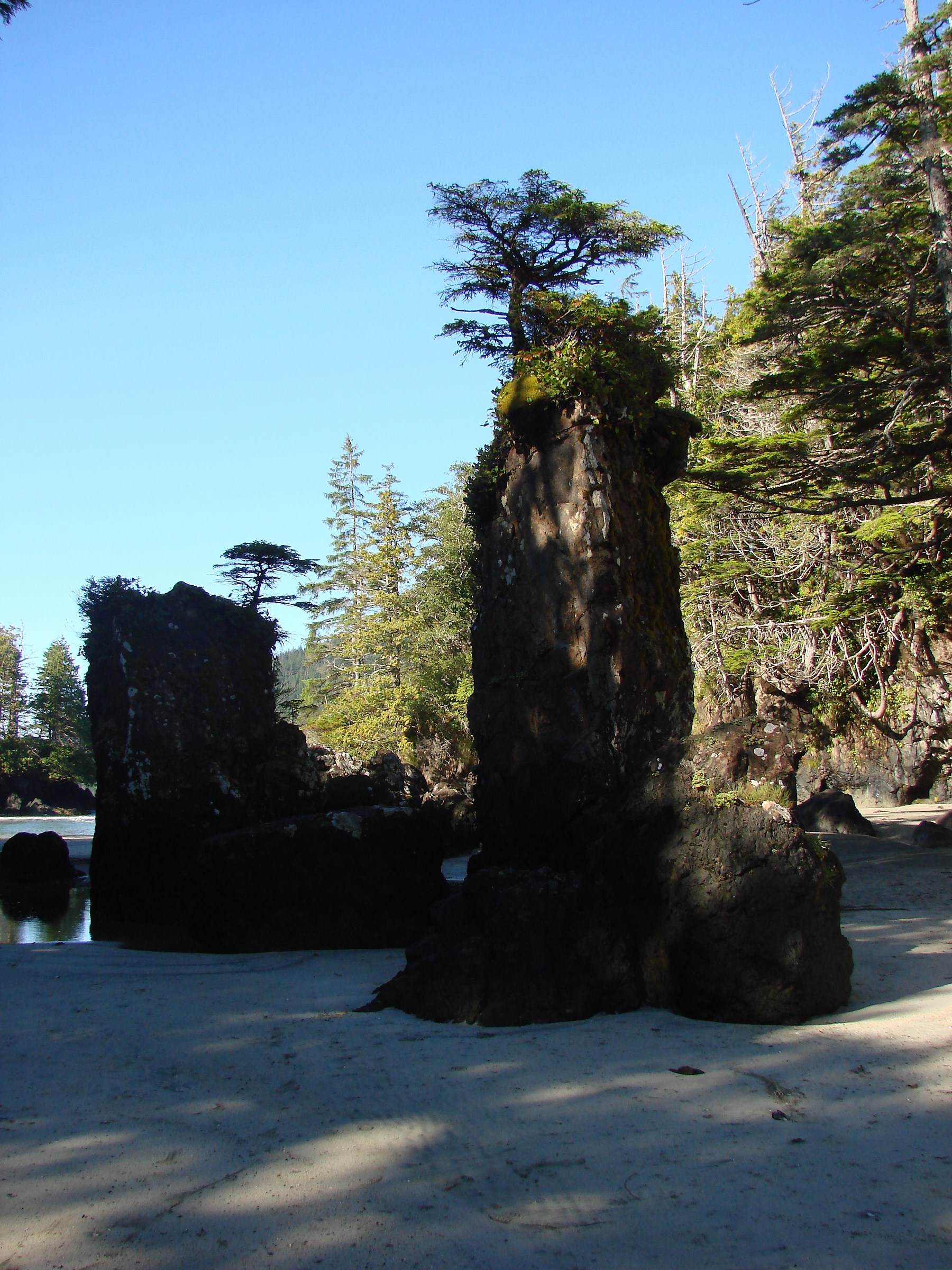 Cape Scott National Park