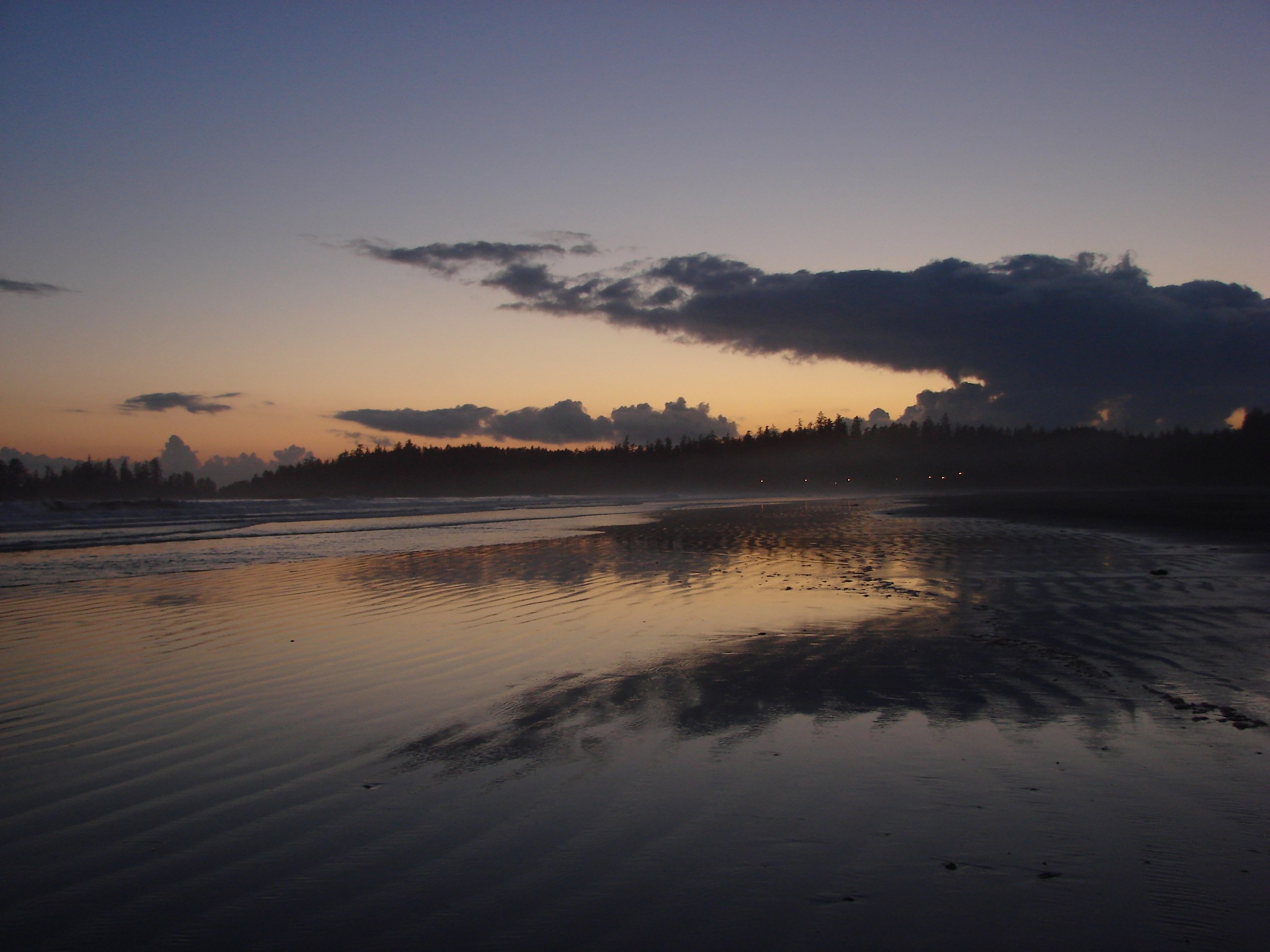 Tofino beach