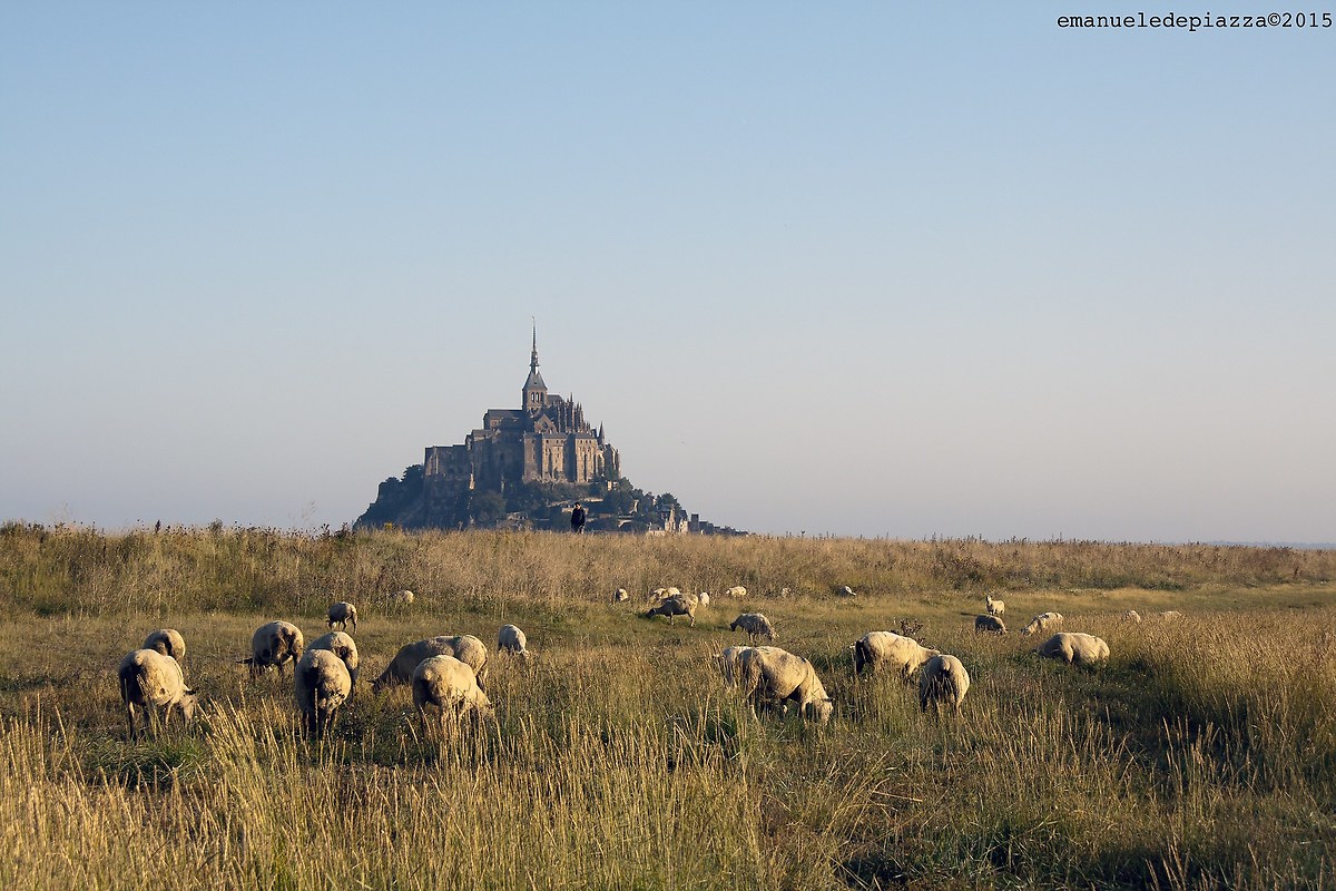 Paesaggio Mont Saint Michel, Bretagne, France