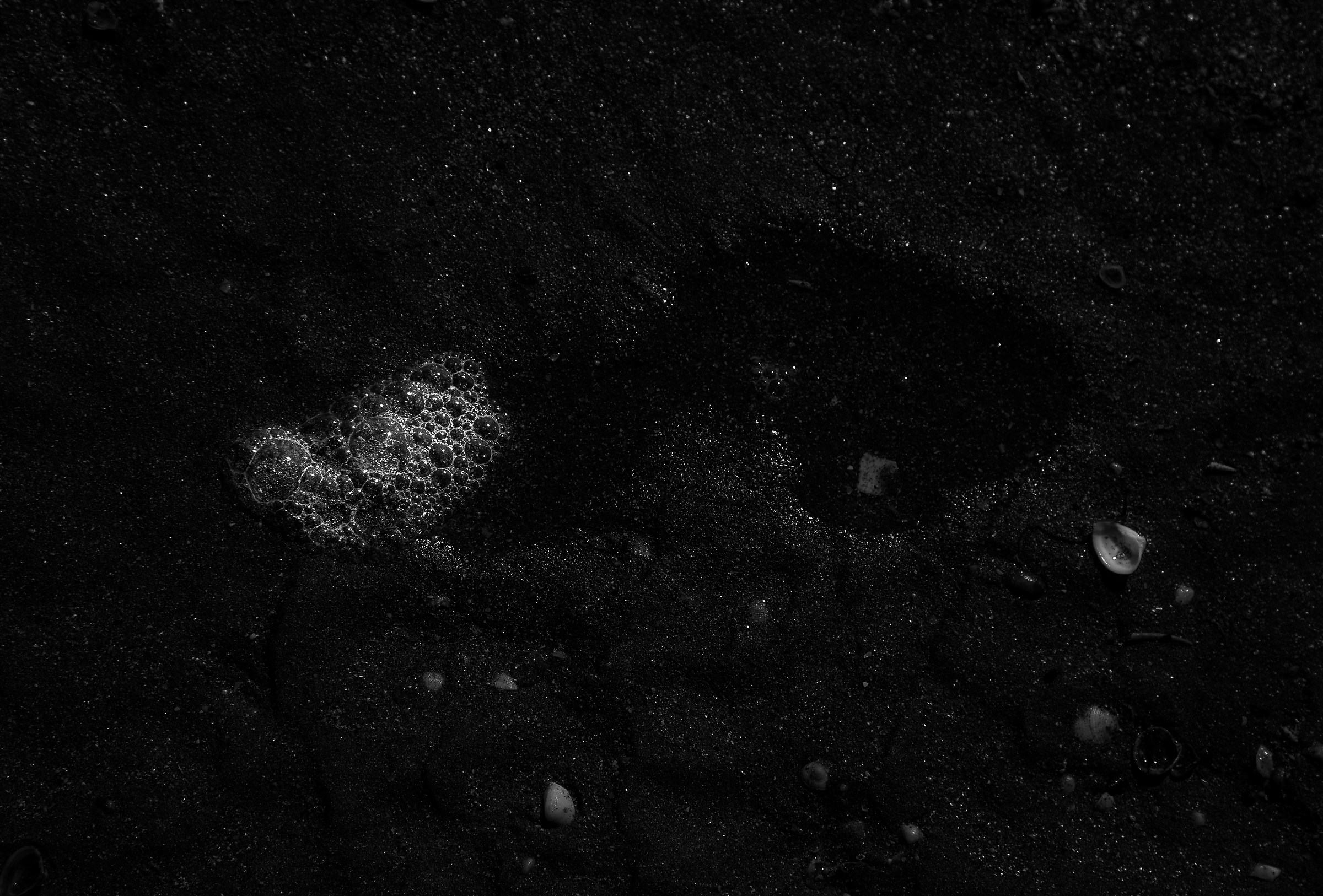 La schiuma sulla battigia.