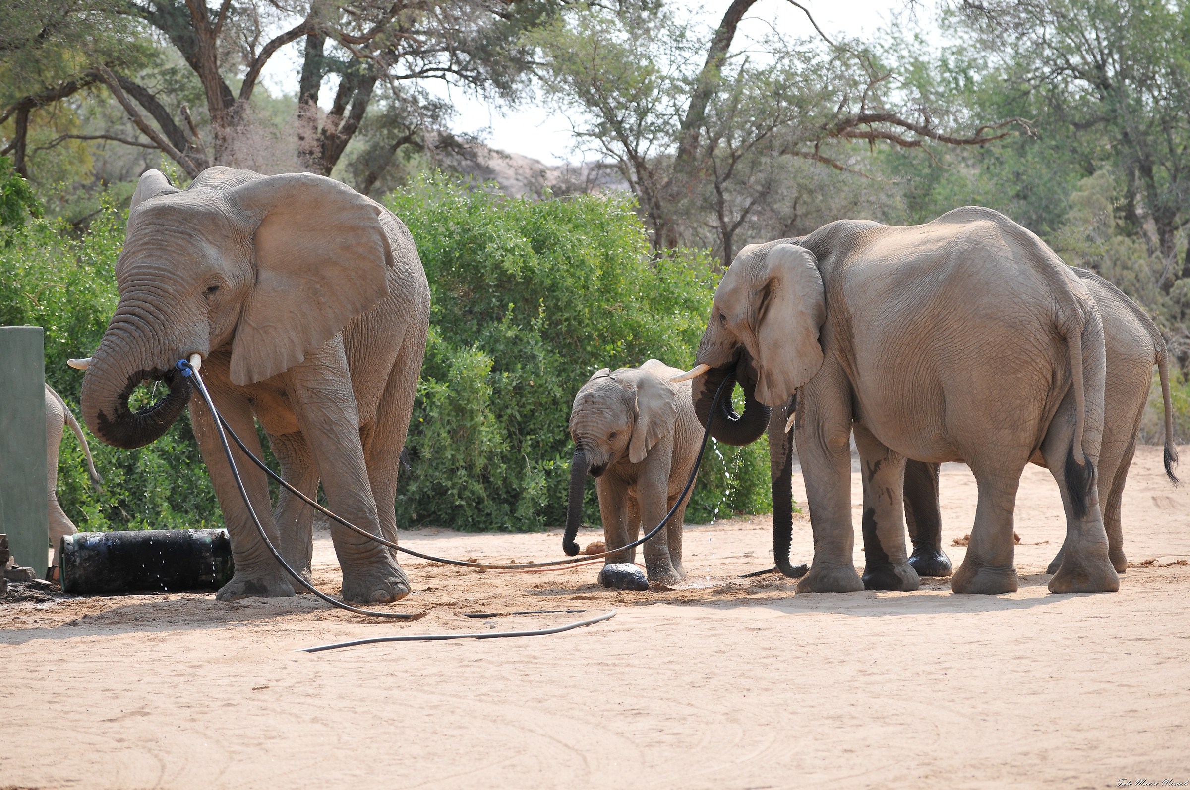 But water through a straw