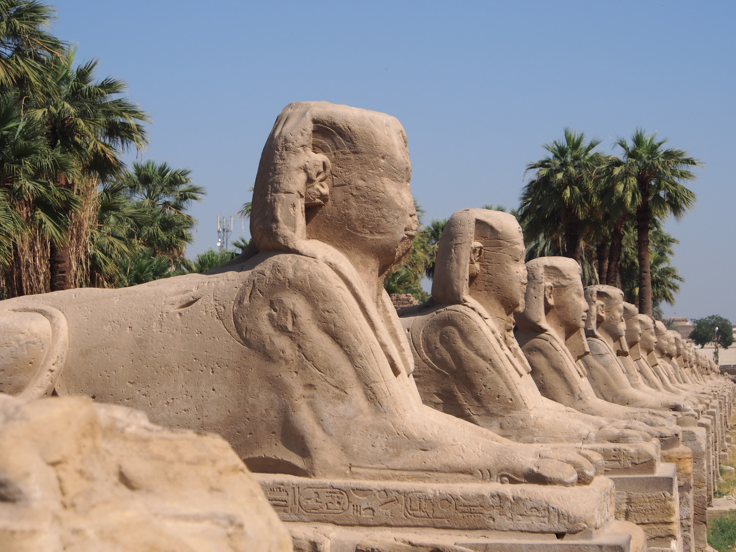 Karnak. Viale delle sfingi