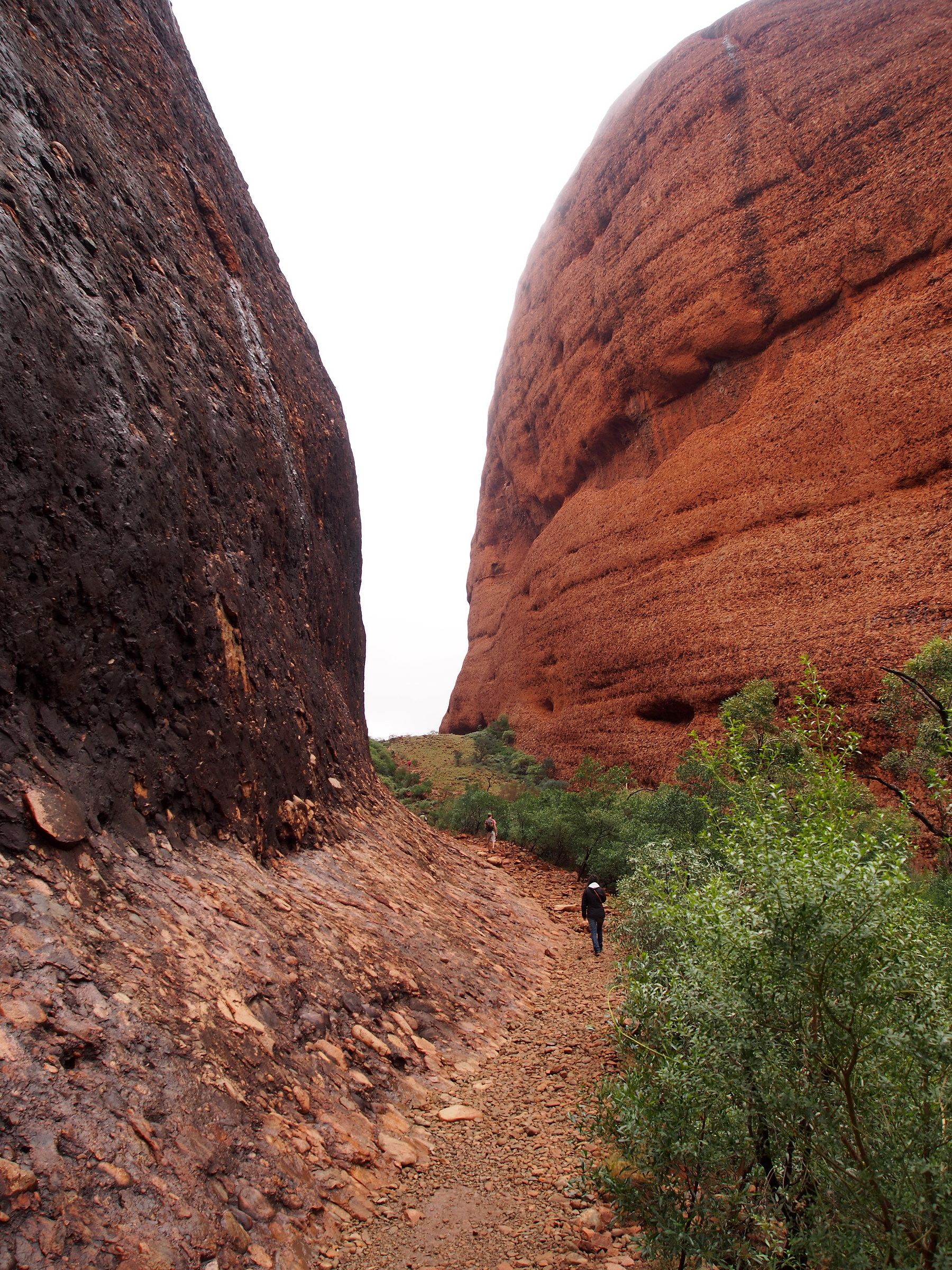 Australia. Kata Tjuta