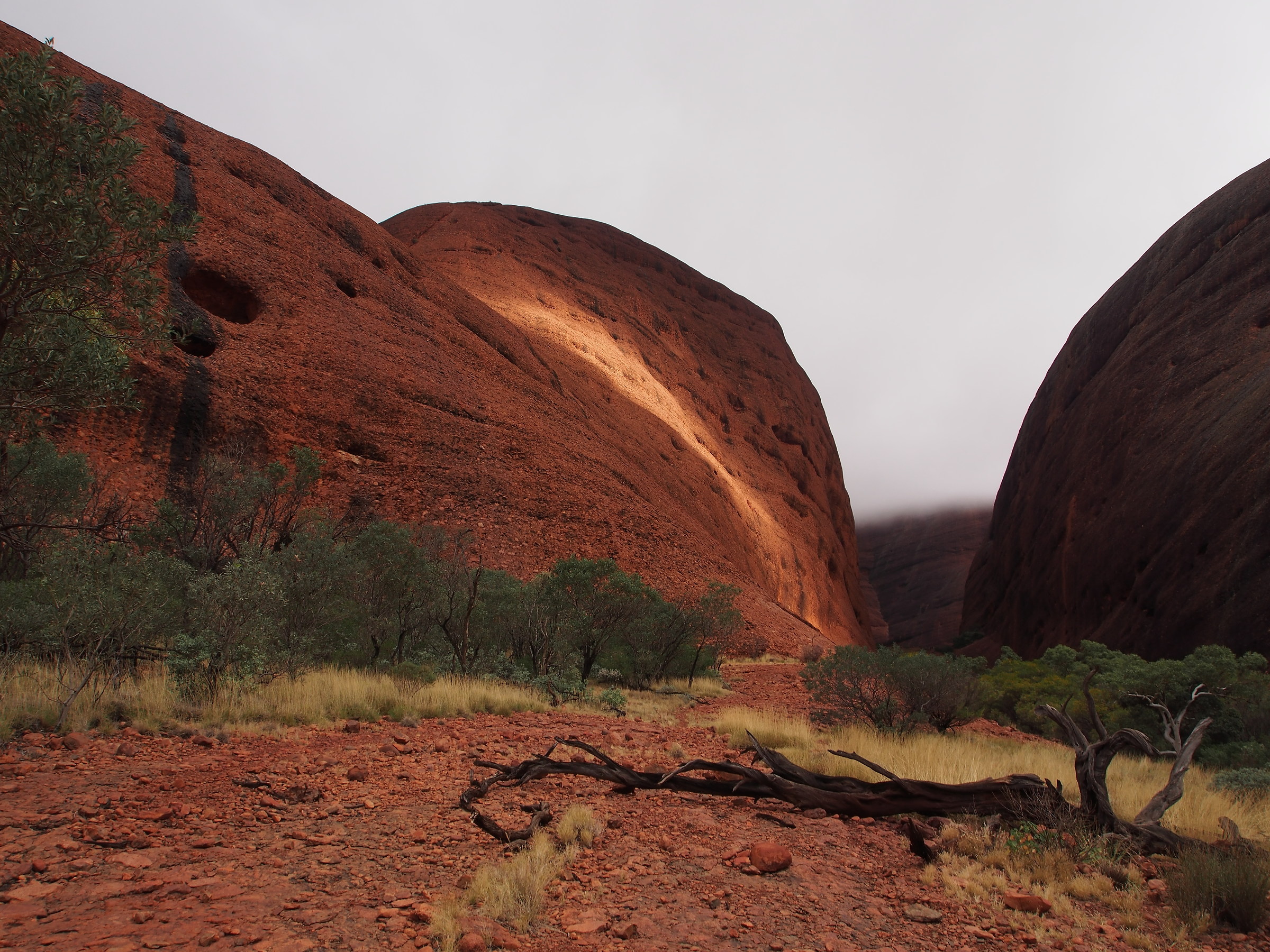 Australia. Kata Tjuta