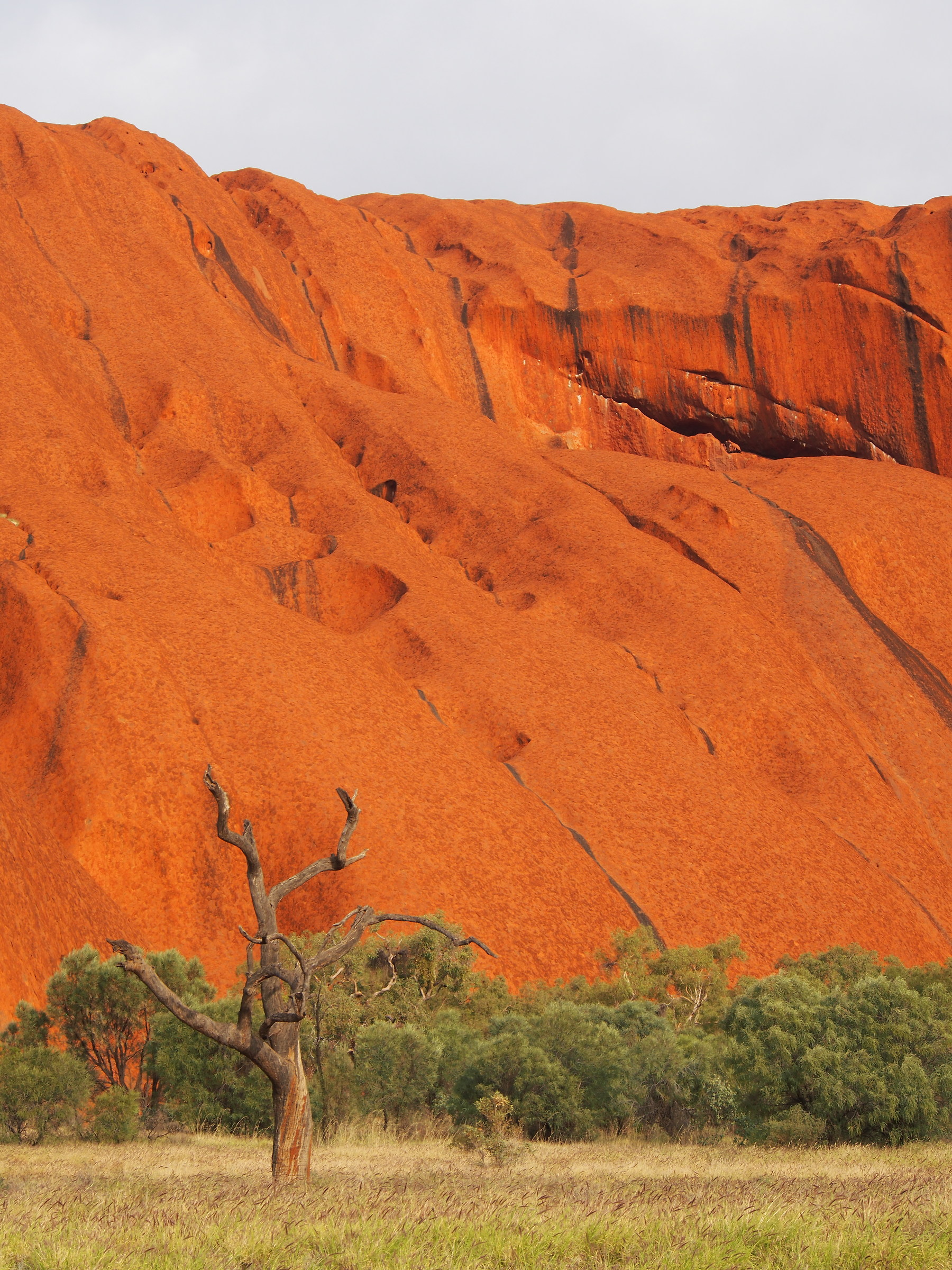 Australia. Uluru
