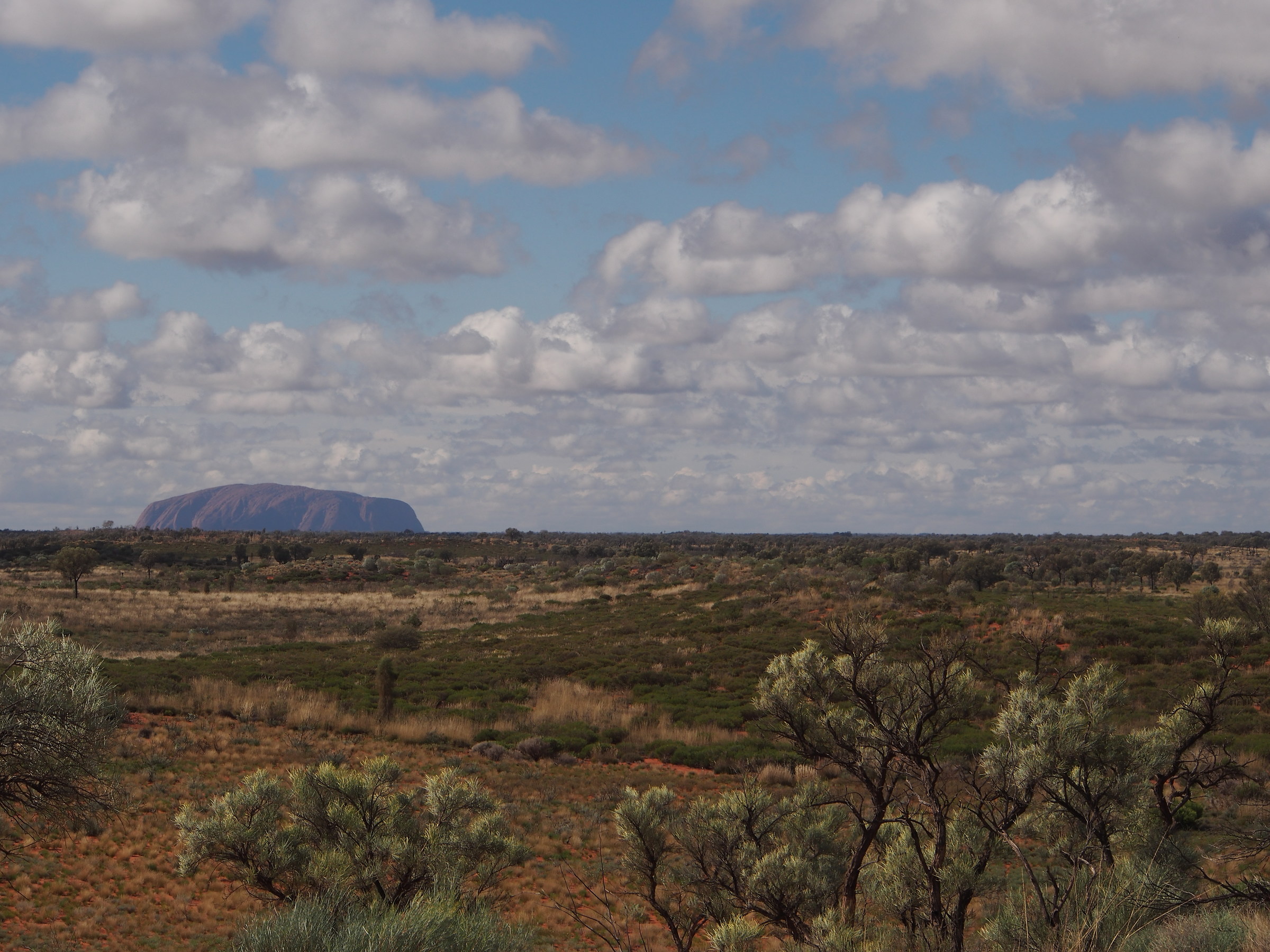 Australia. Mt. Uluru da lontano