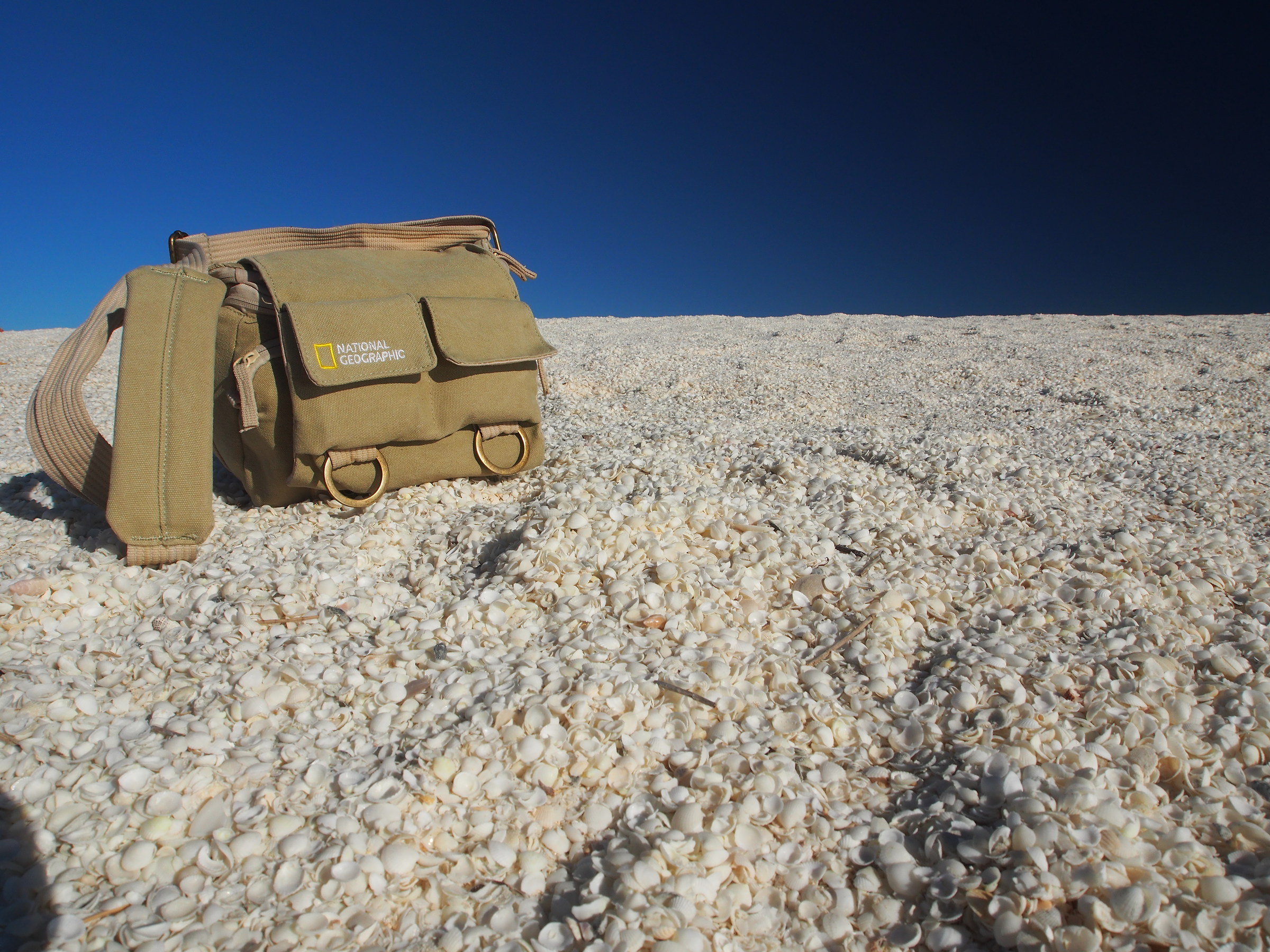 Australia. West coast. Shark bay. Shell beach