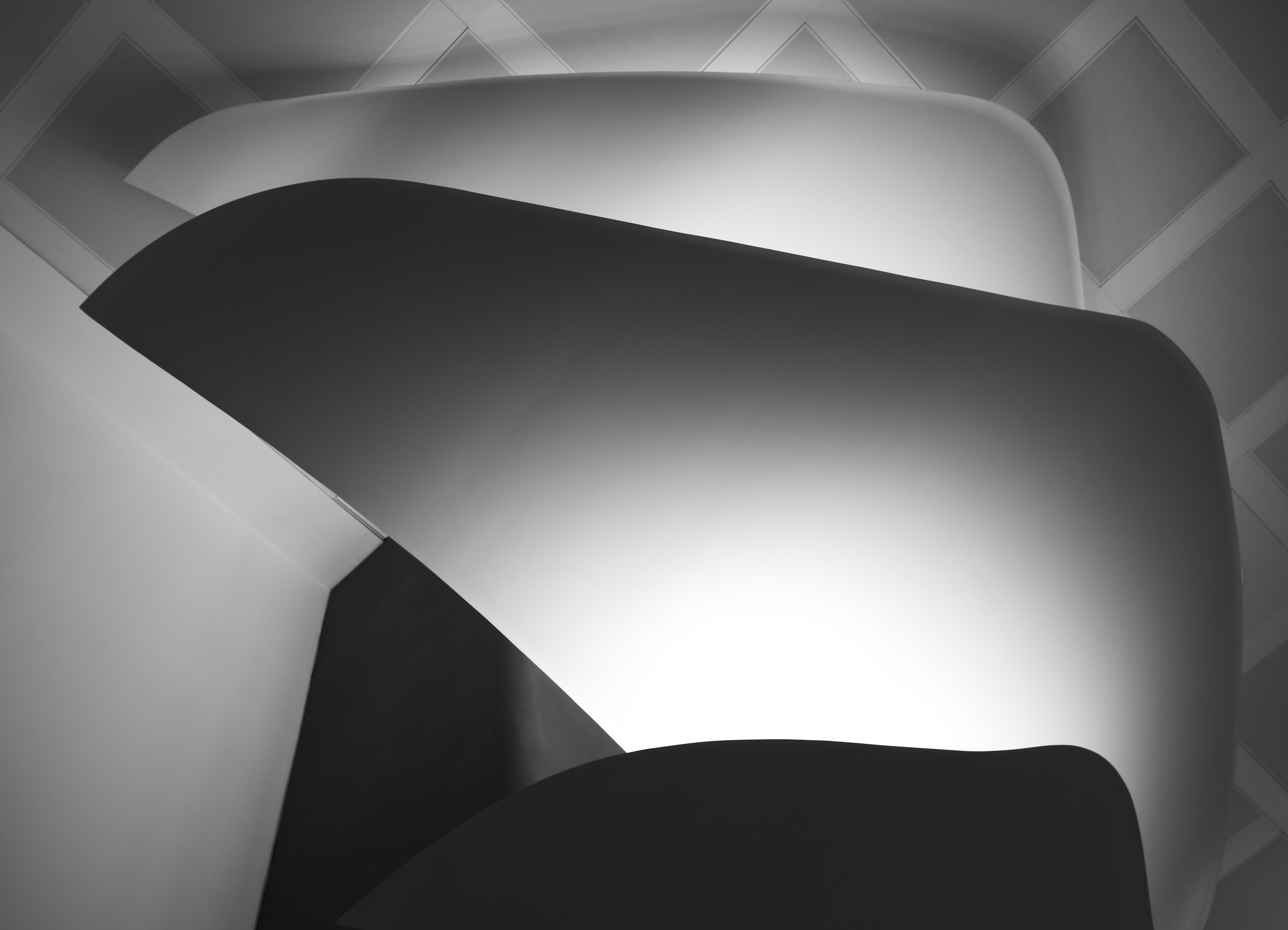 Luci, curve ed ombre