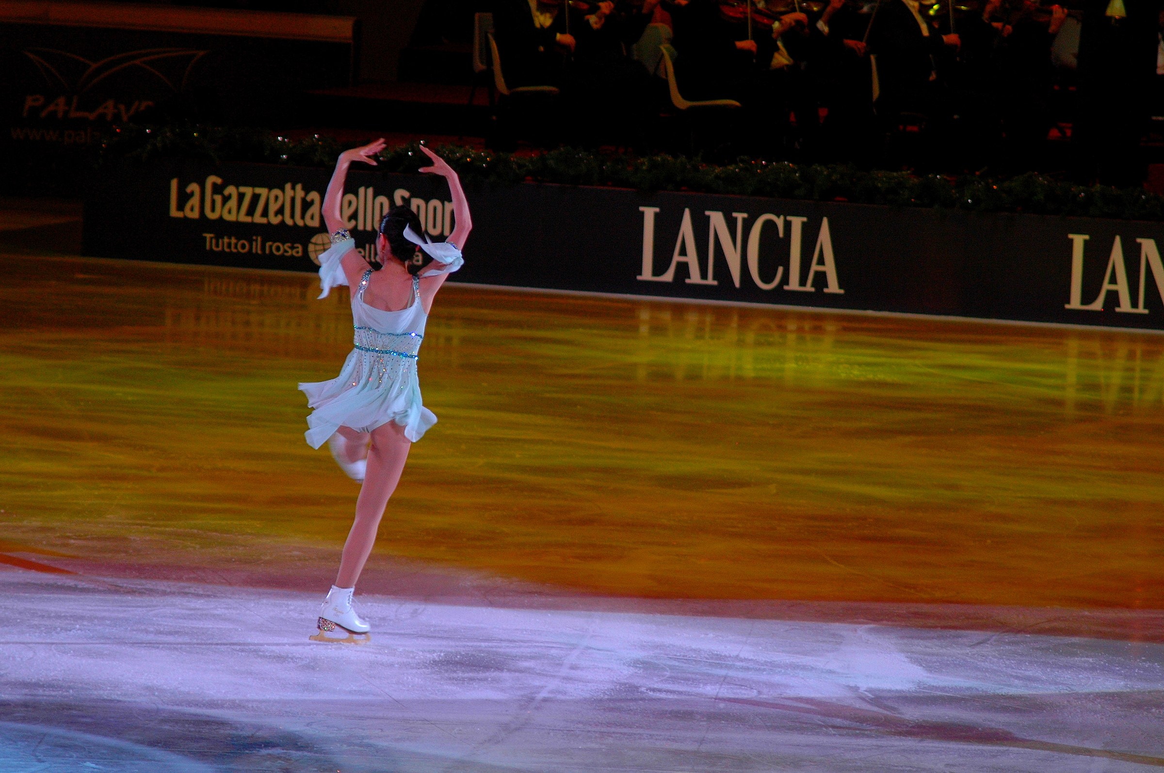 Year On Ice 2012